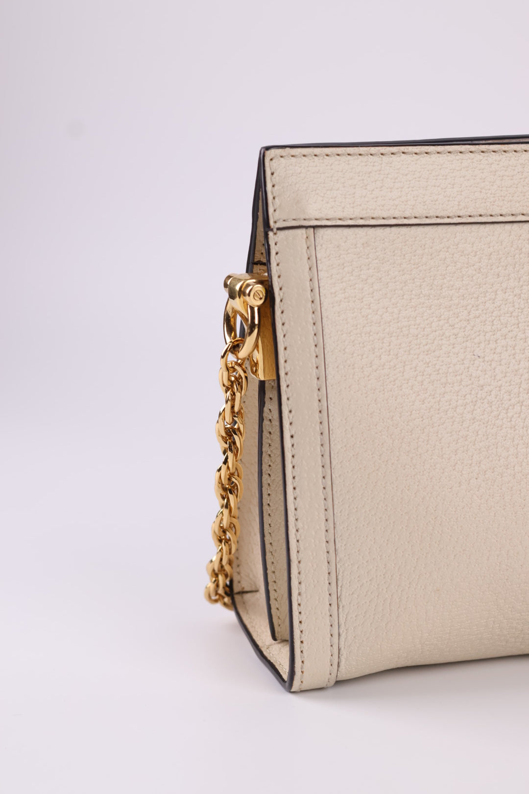 Gucci Ophidia Chain in Pelle