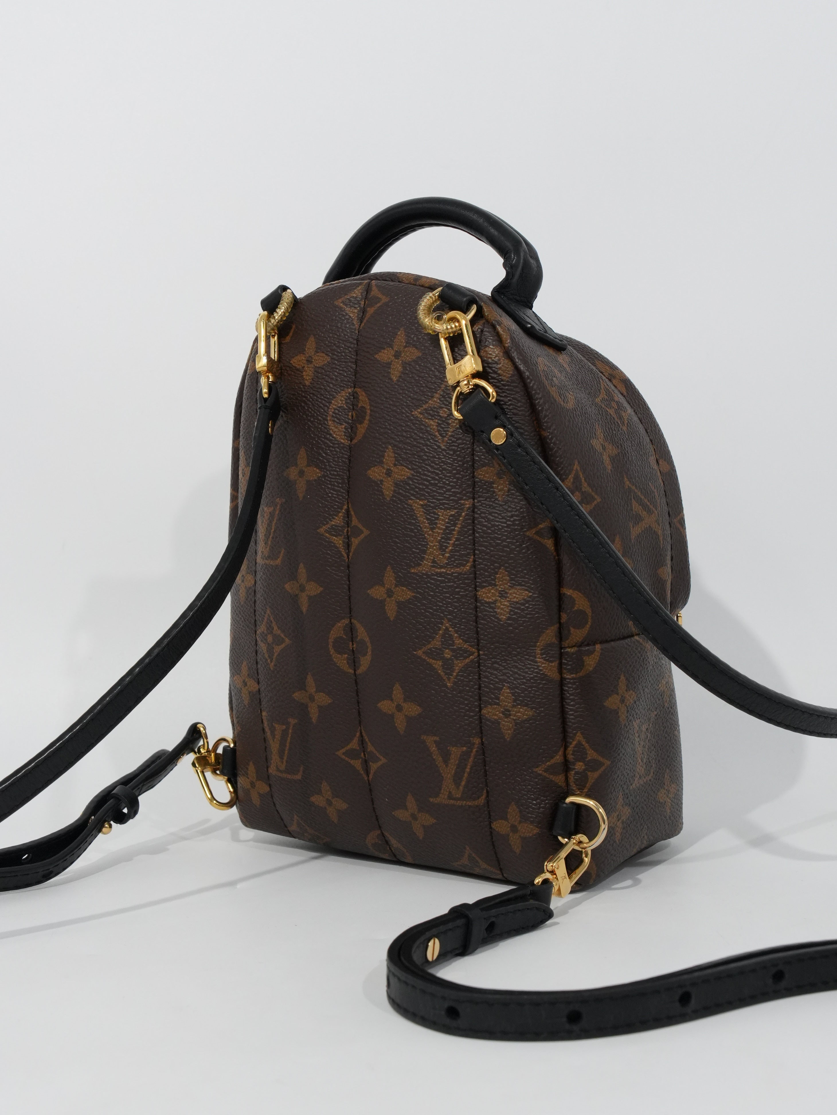 Louis Vuitton Mini Palm Spring