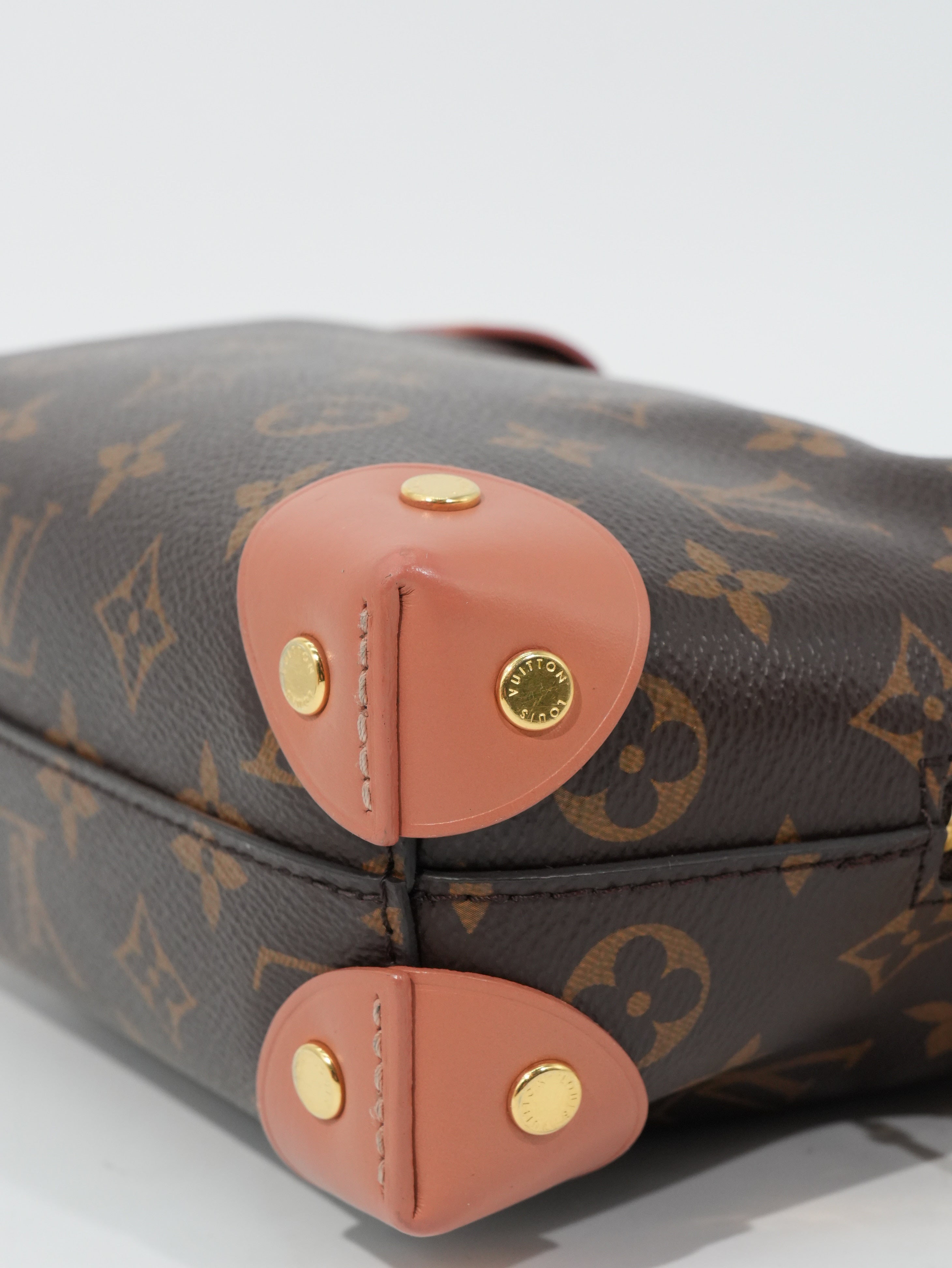 Louis Vuitton Petite Malle Souple