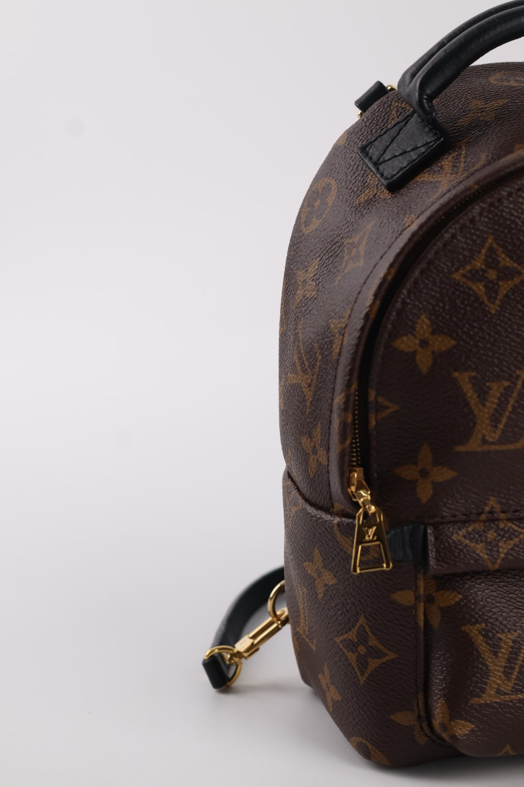 Louis Vuitton Mini Palm Spring Monogram