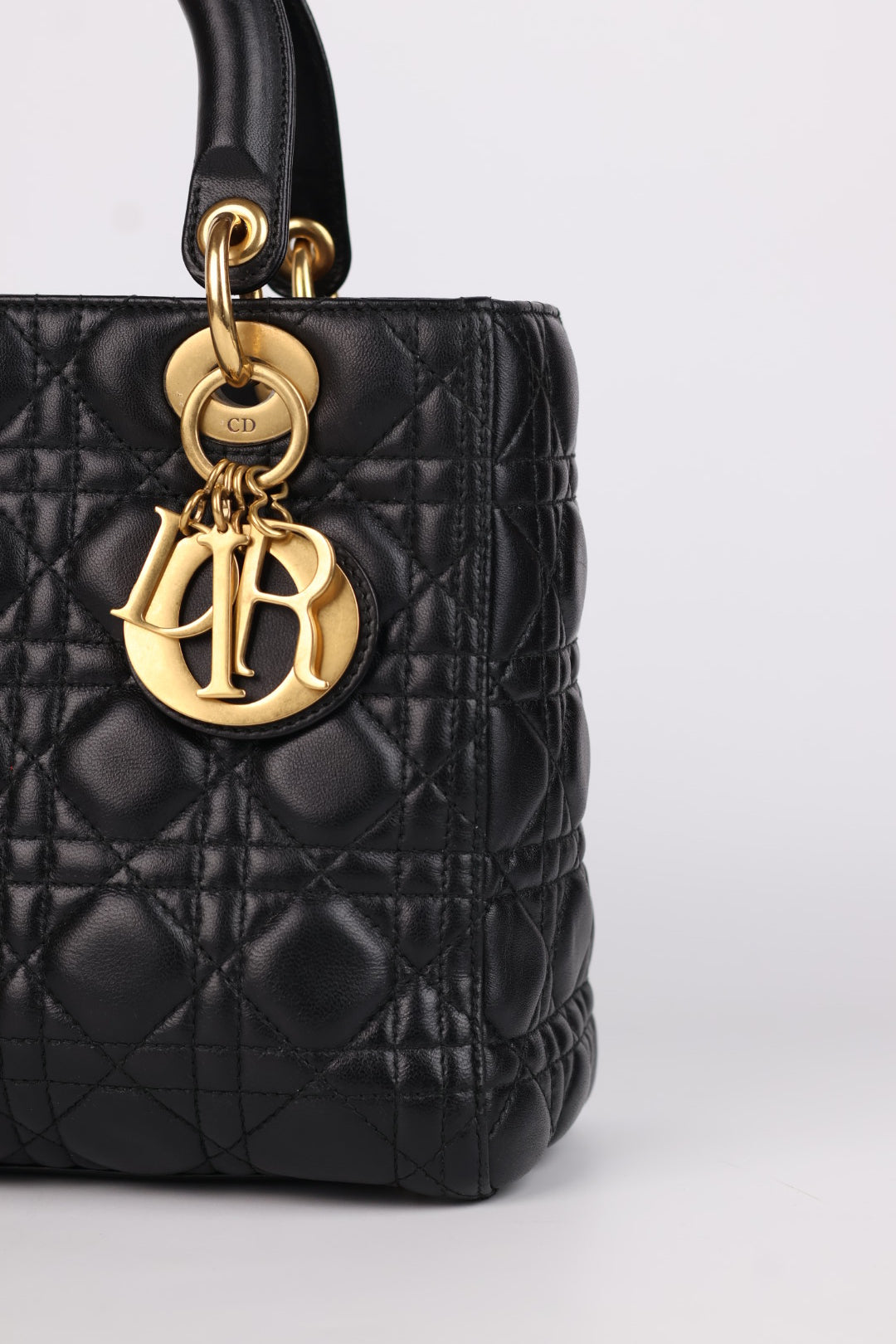 Lady Dior Meda in Pelle