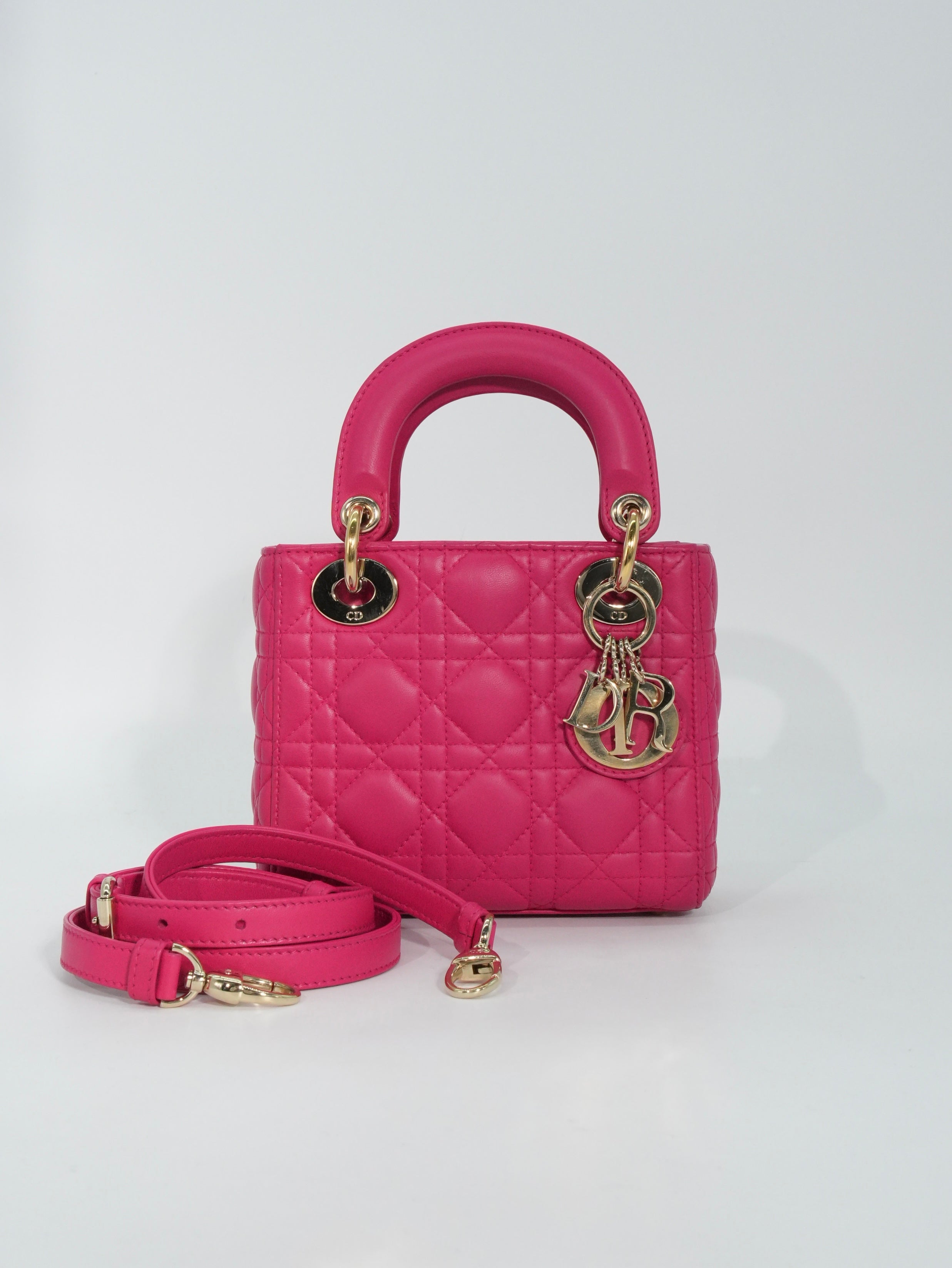 Lady Dior Mini in Pelle