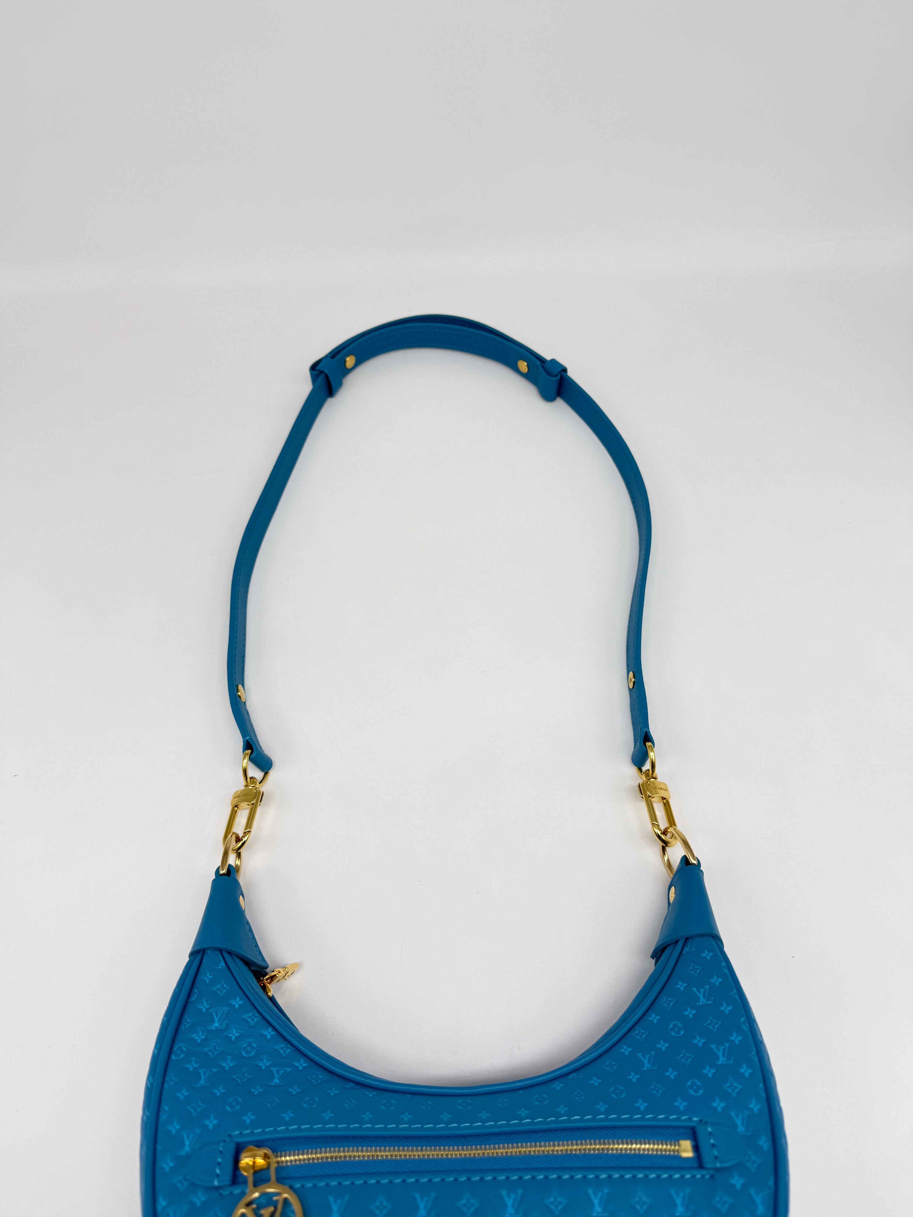 Louis Vuitton Loop Hobo Nanogram
