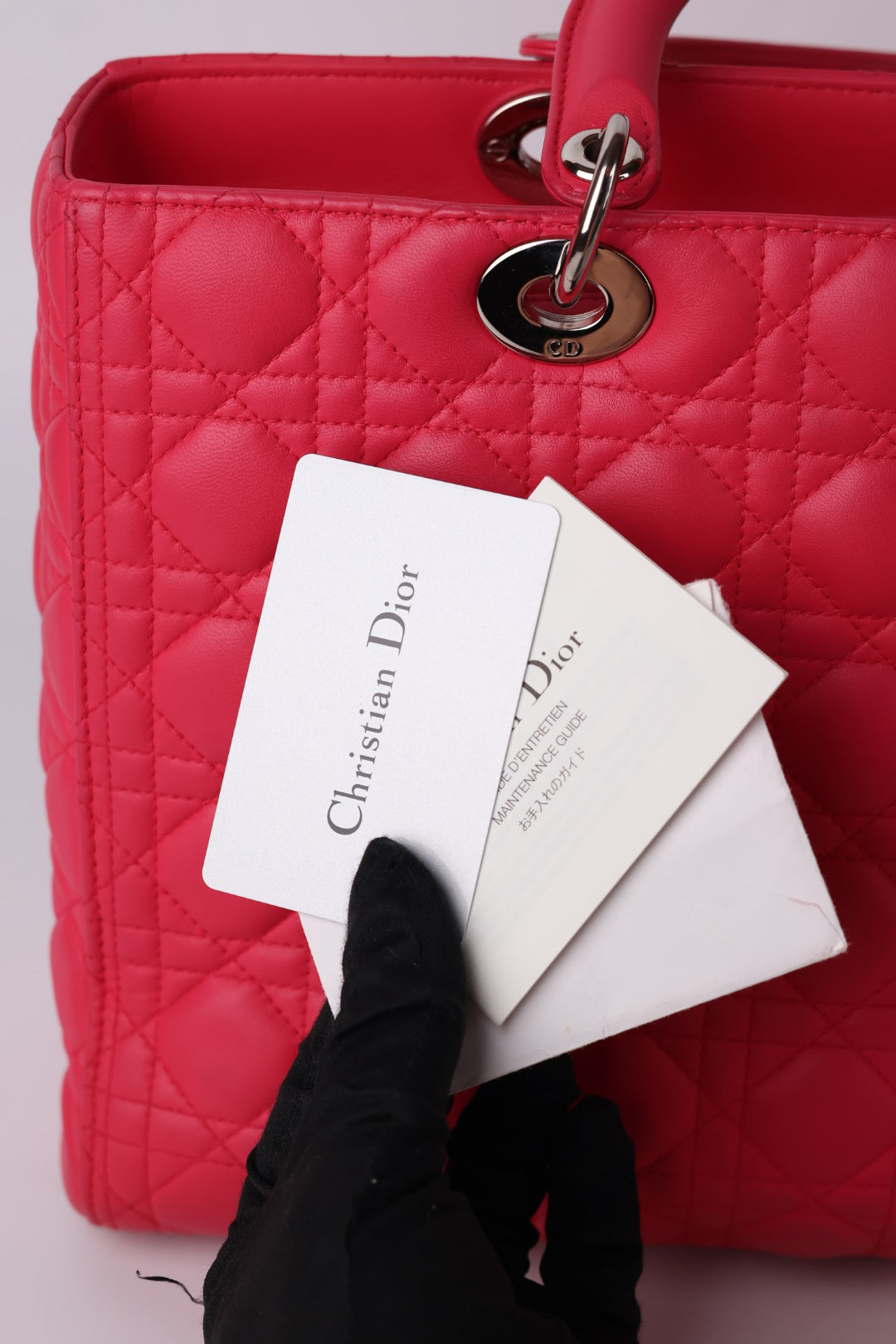 Lady Dior Large in Pelle