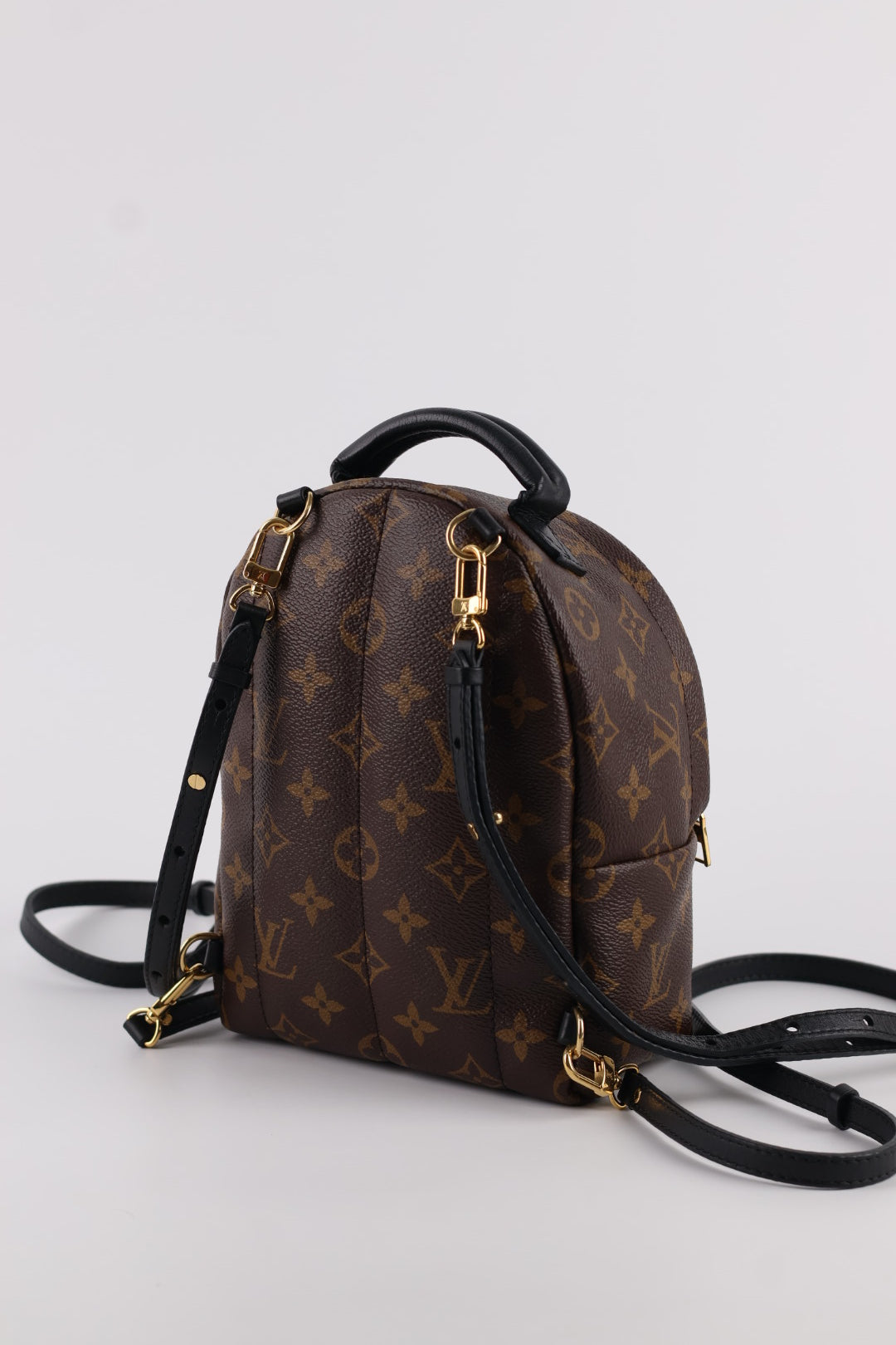 Louis Vuitton Mini Palm Spring Monogram