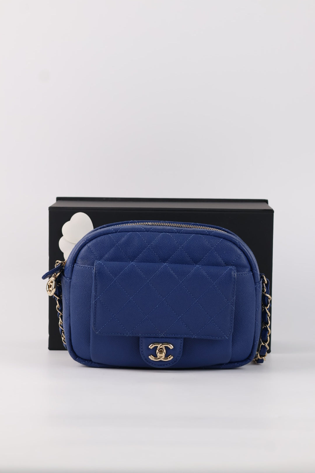 Chanel Camera Bag Caviar