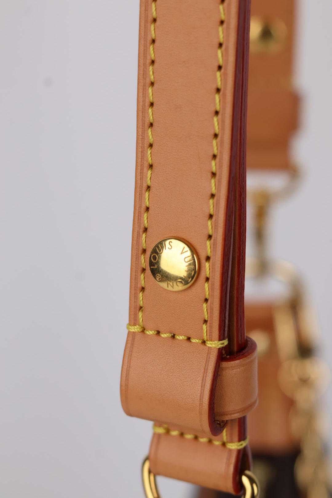 Louis Vuitton Mini Loop Monogram