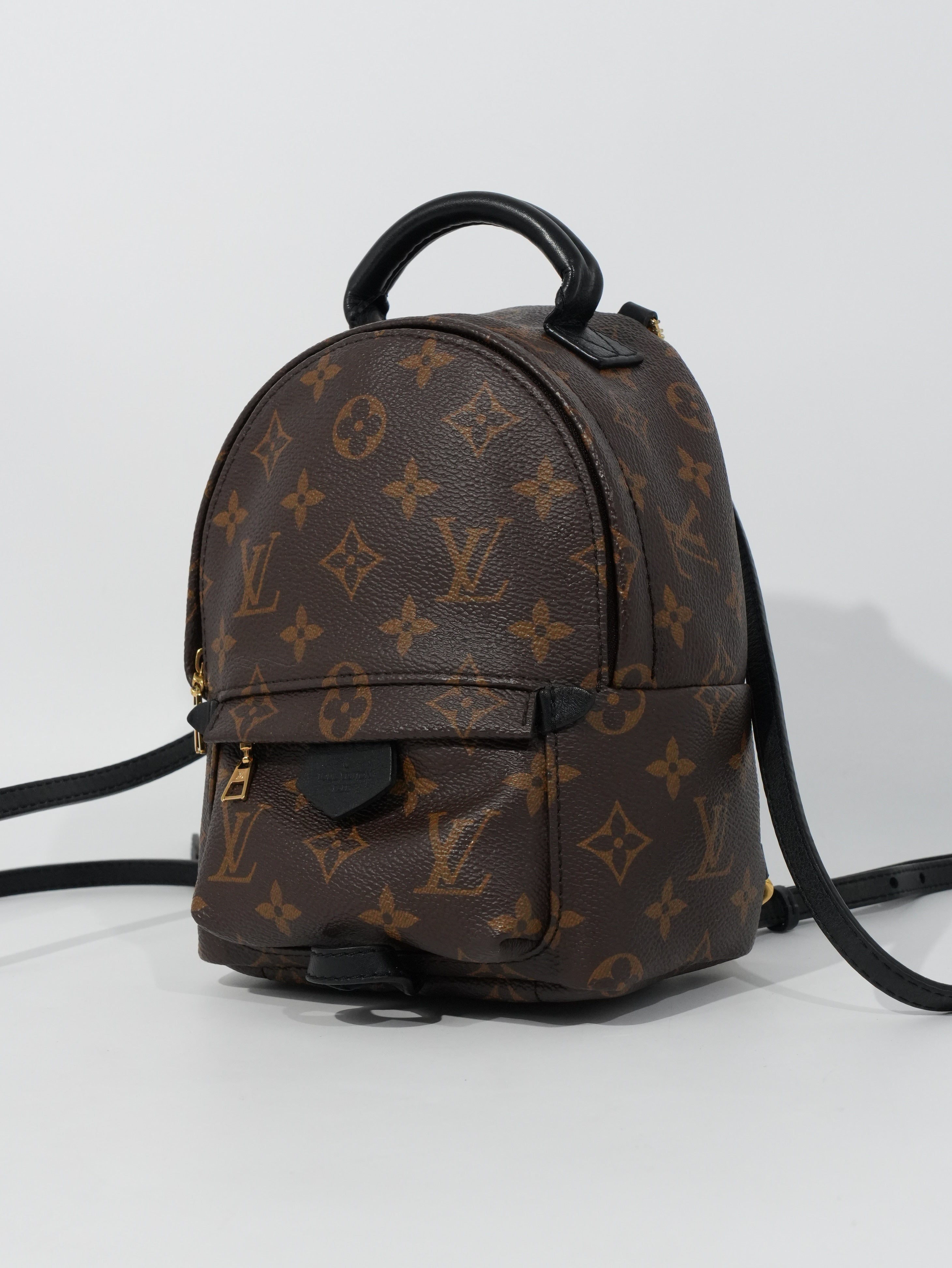 Louis Vuitton Mini Palm Spring