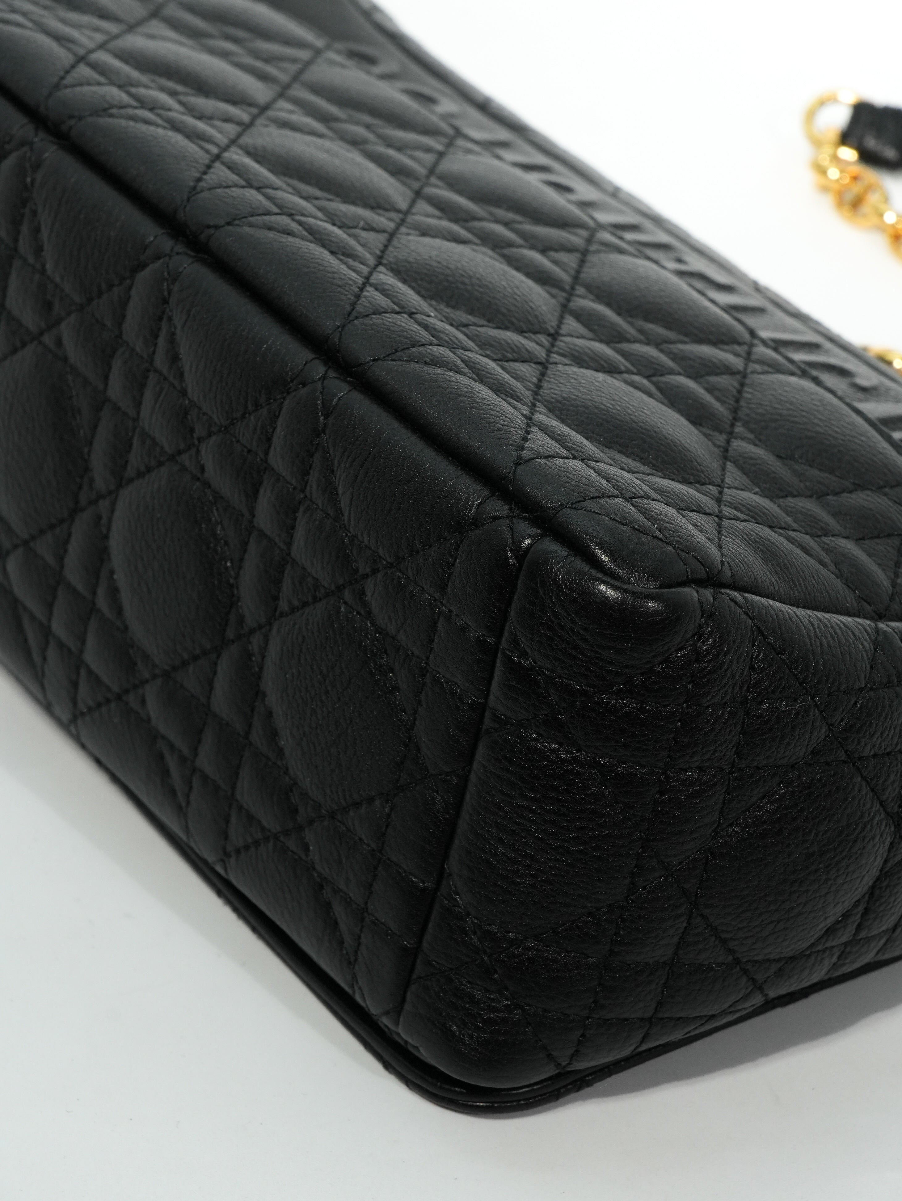 Dior Caro Media in Pelle