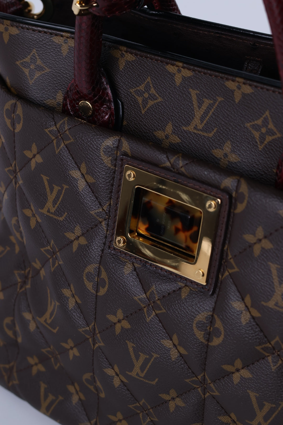 Louis Vuitton Etoile Exotique Monogram