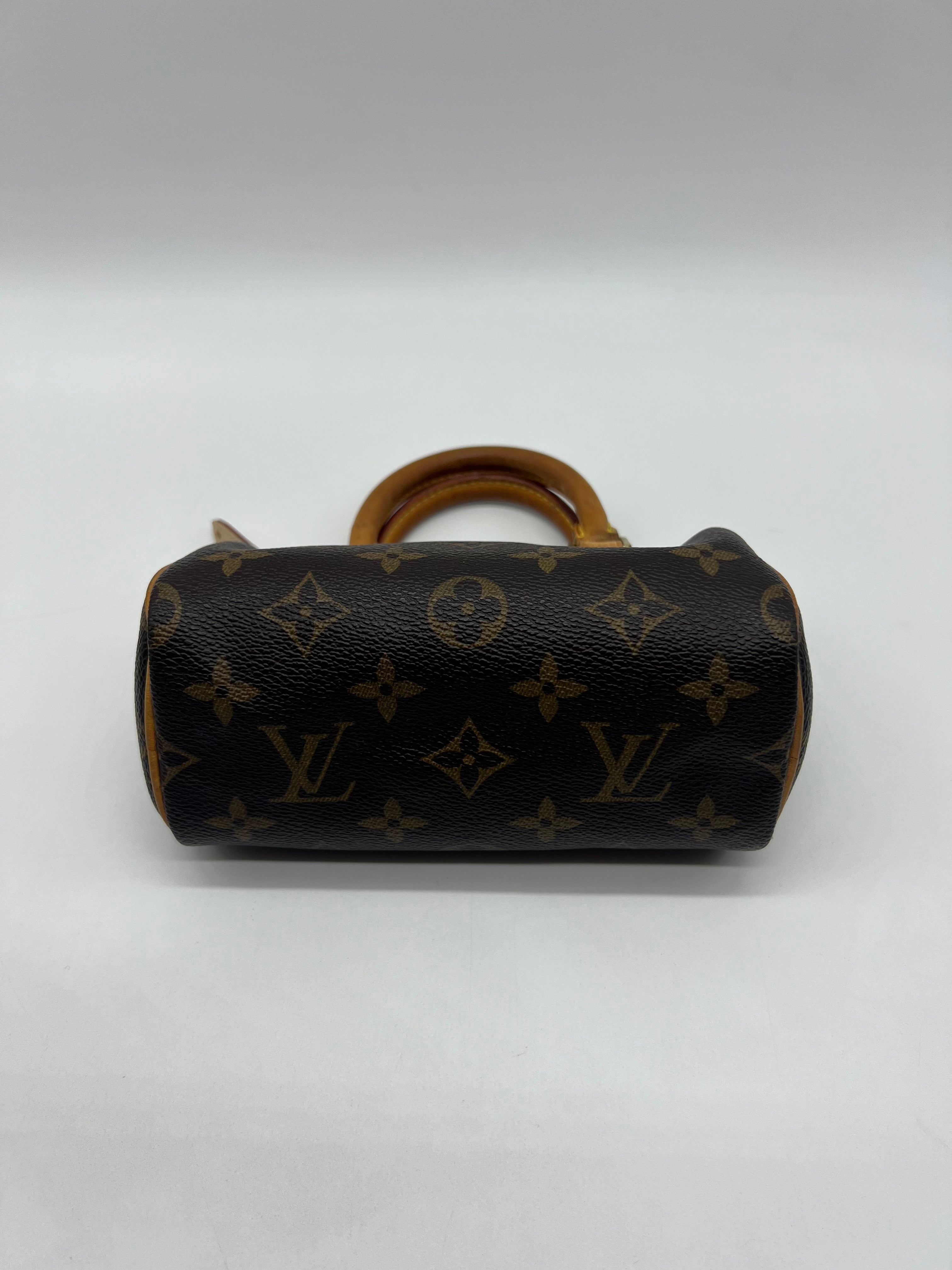 Louis Vuitton Nano Speedy Monogram