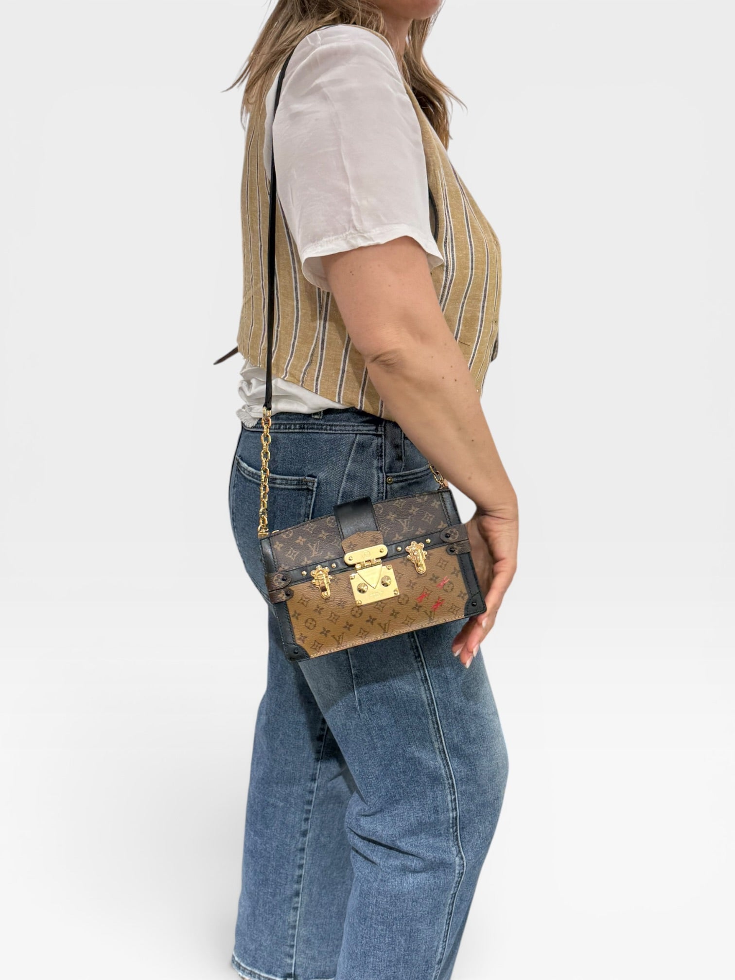 Louis Vuitton Trunk Malle