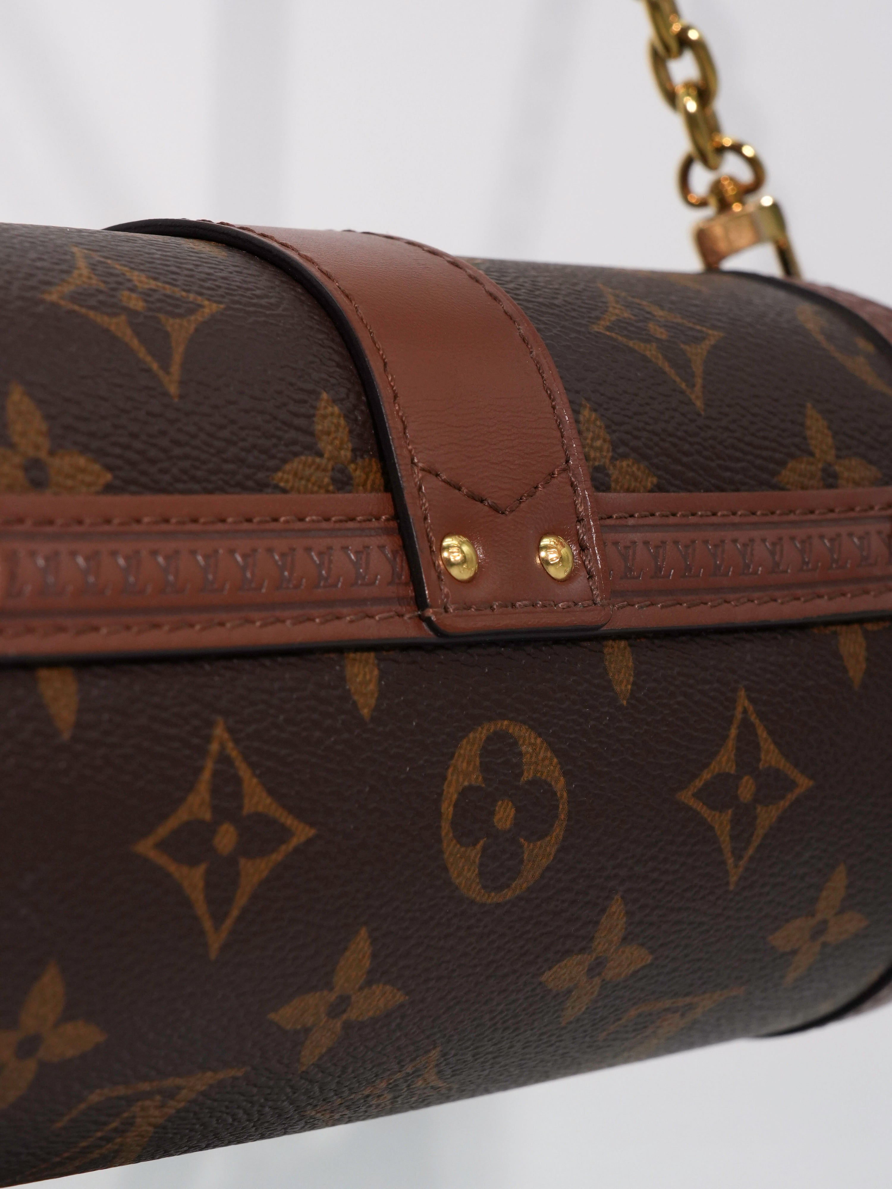 Louis Vuitton Papillon Trunk Monogram