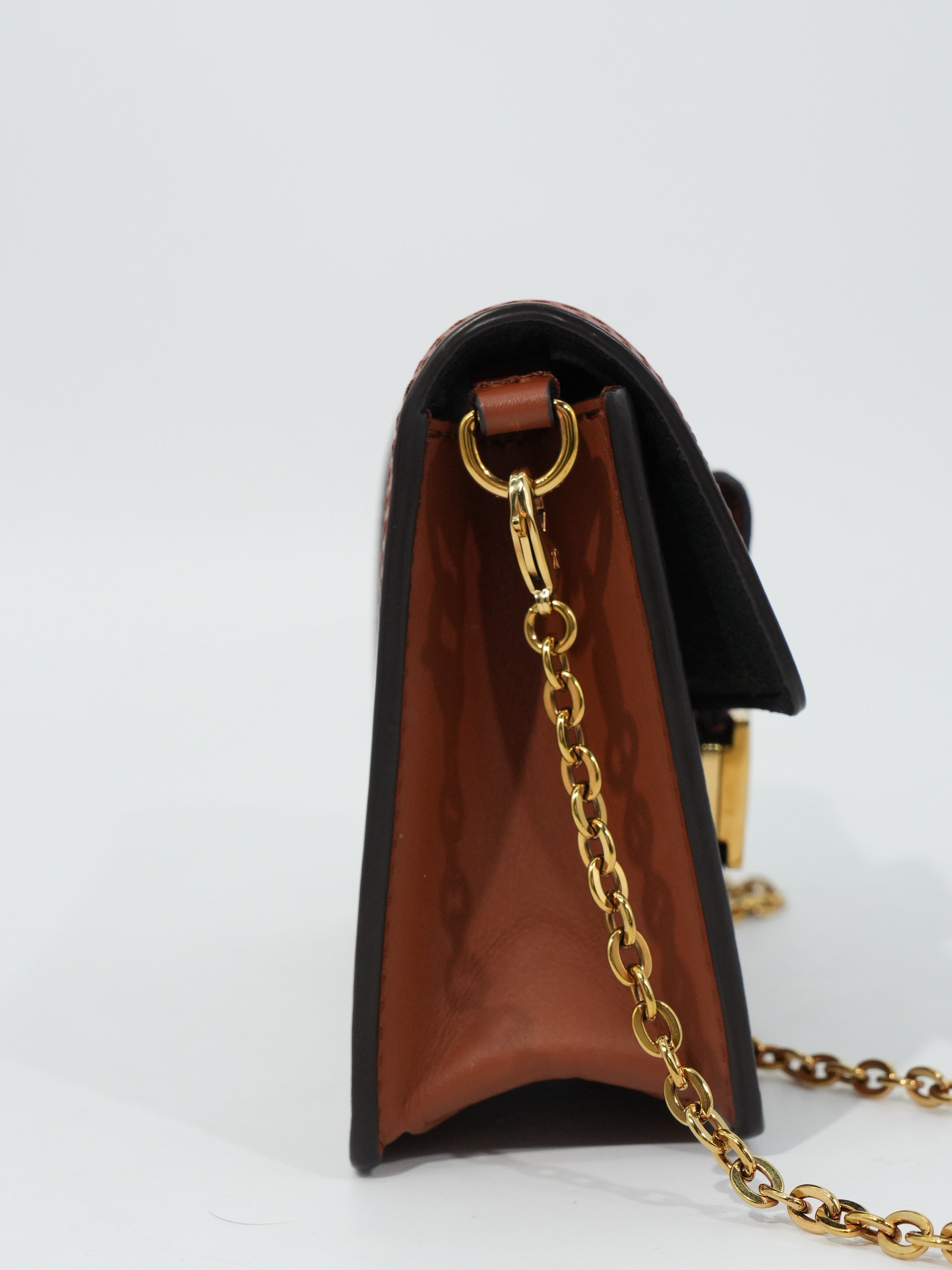 Louis Vuitton Dauphine Woc Monogram