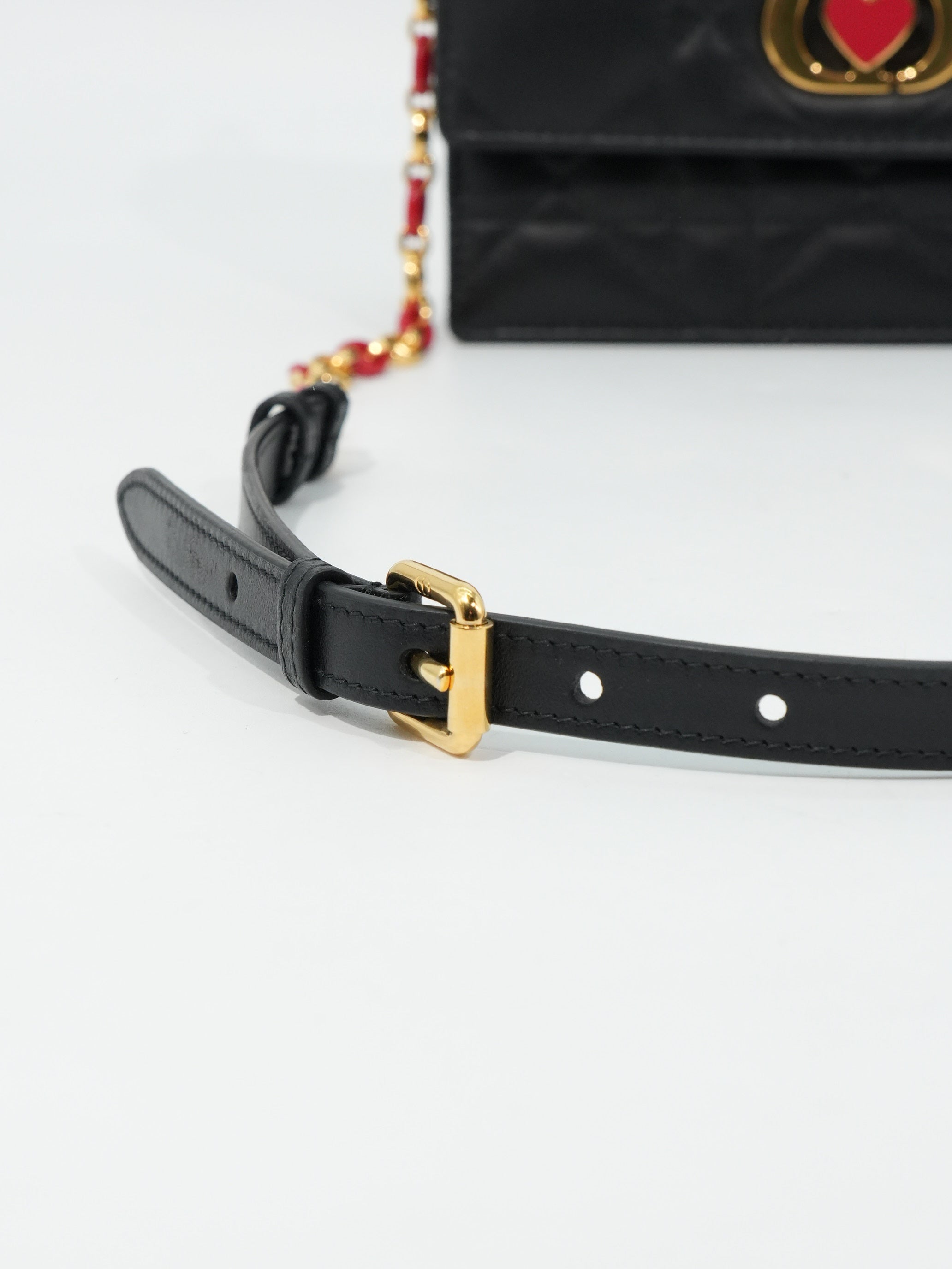 Dior Miss Caro Mini Dioramour