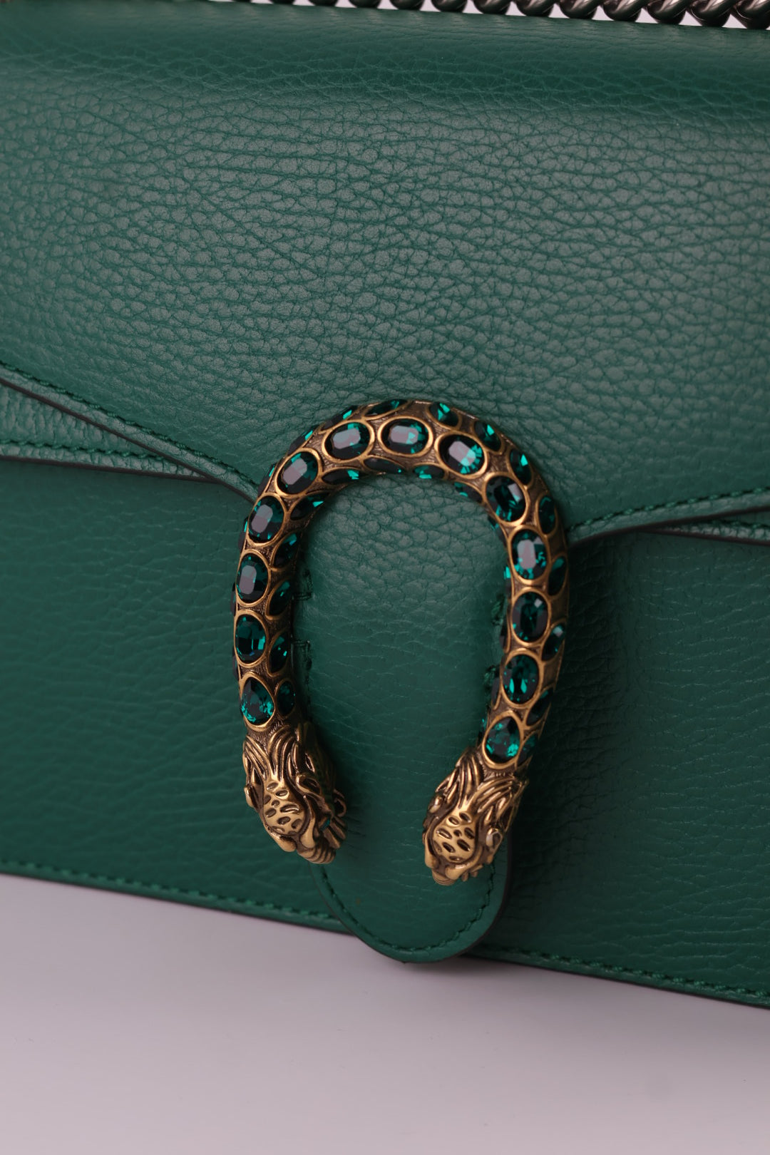 Gucci Dionysus in Pelle