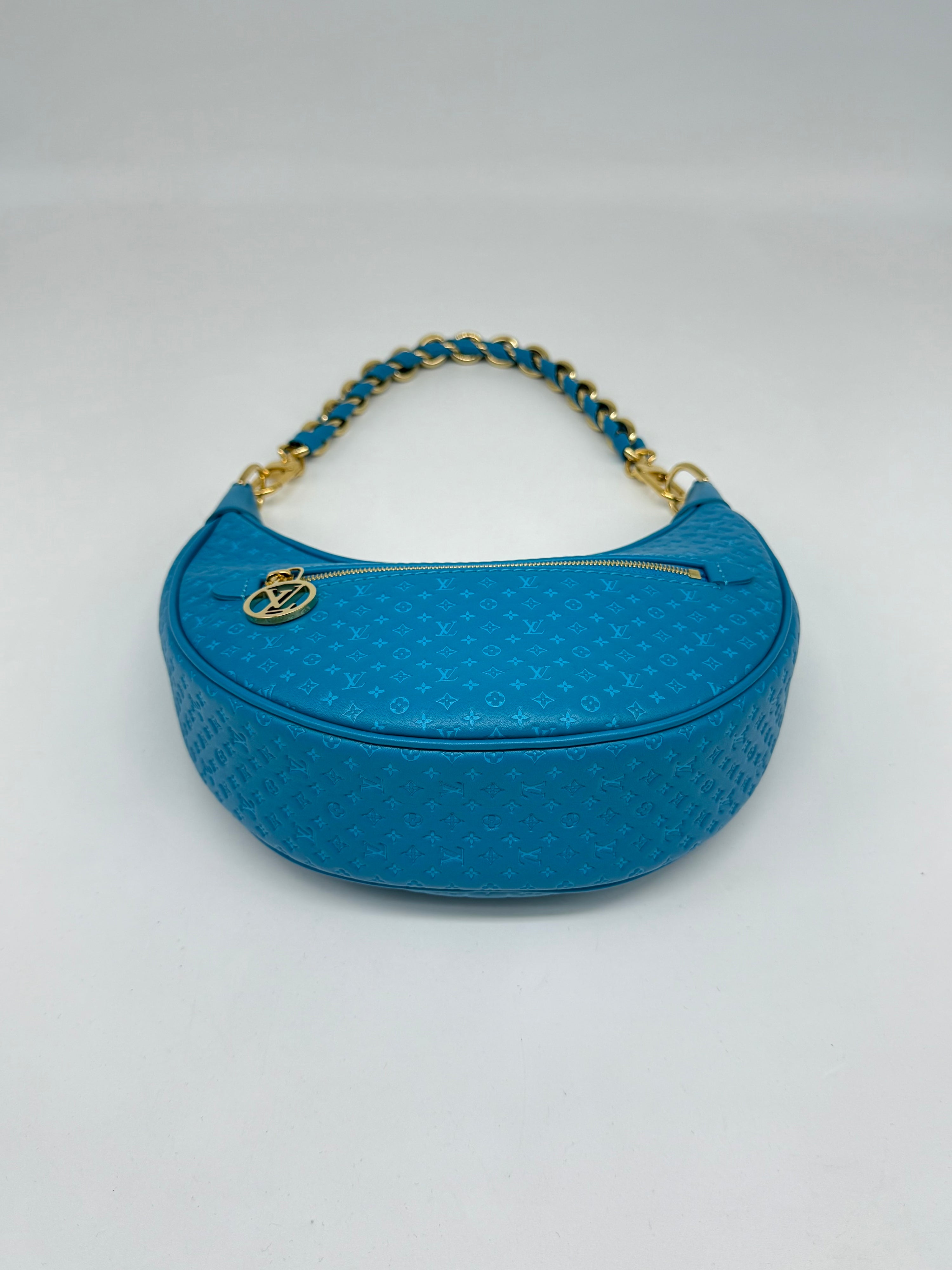 Louis Vuitton Loop Hobo Nanogram