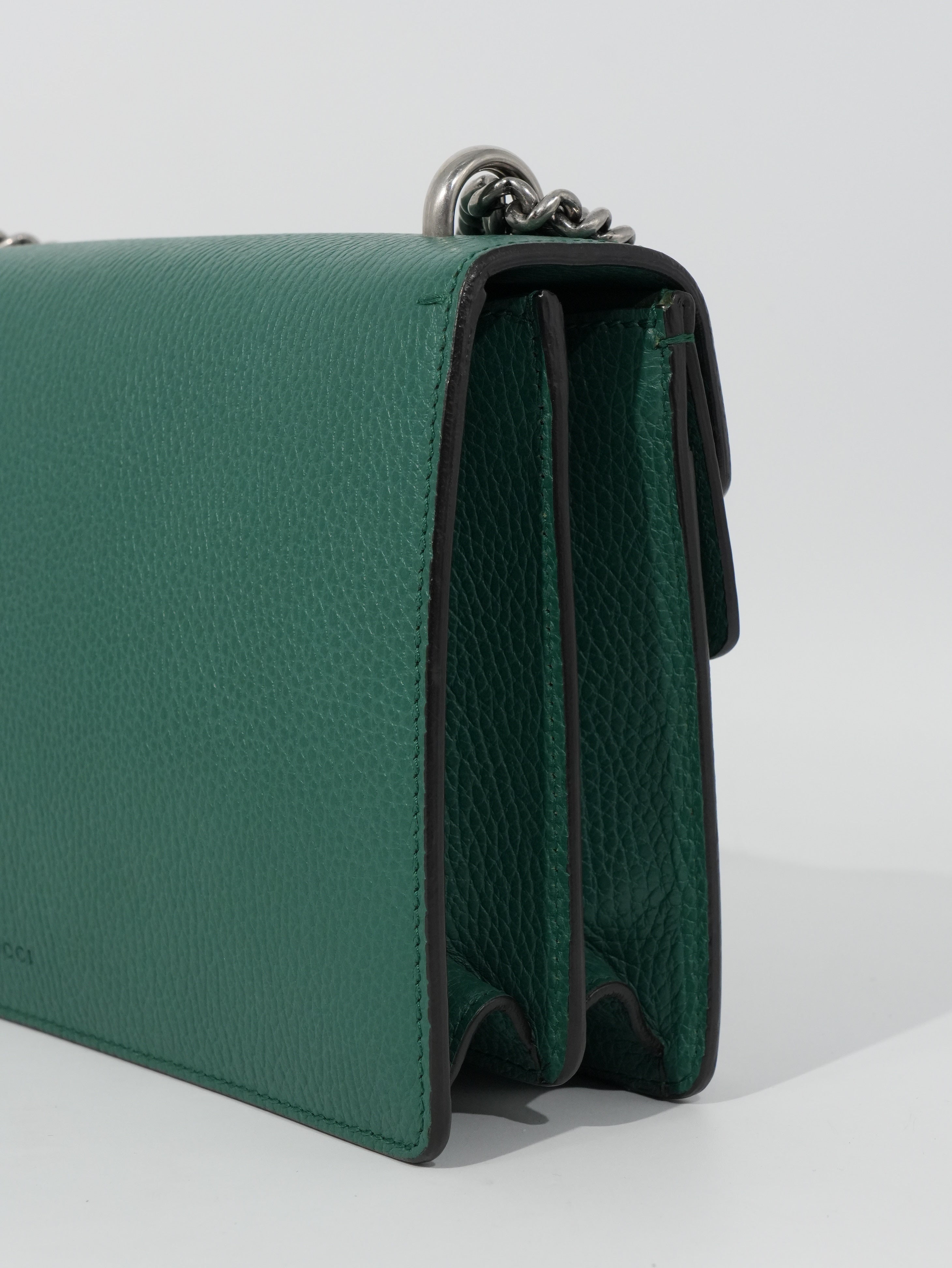 Gucci Dionysus in Pelle