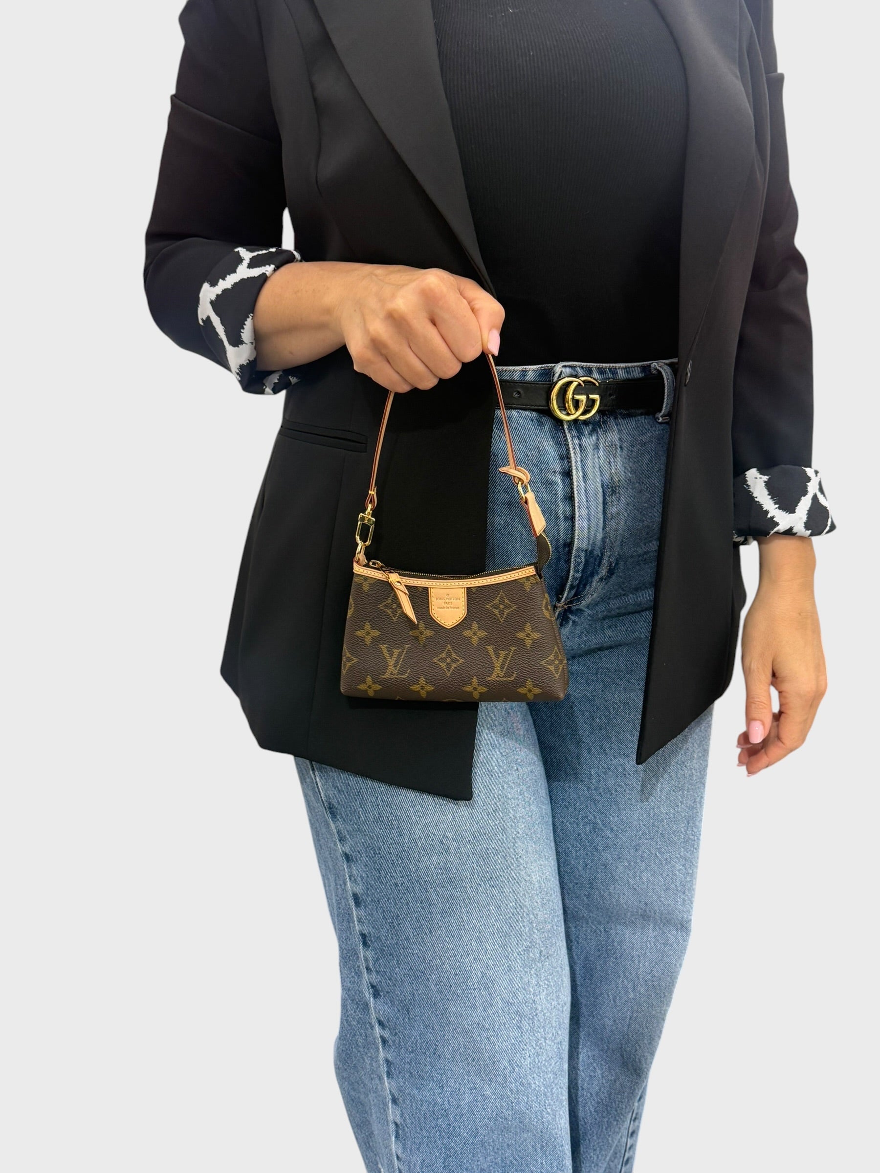 Louis Vuitton Pochette Delightful Monogram