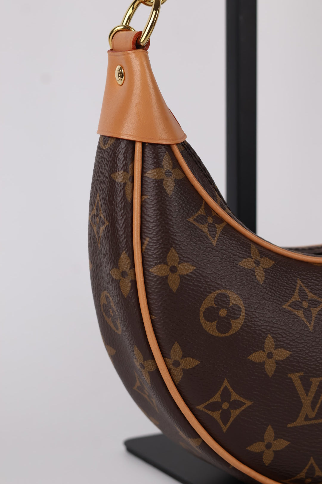 Louis Vuitton Mini Loop Monogram