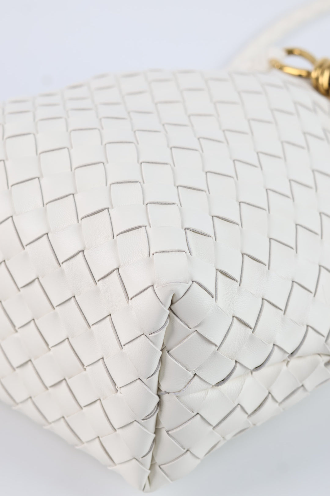 Bottega Veneta Andiamo Bucket