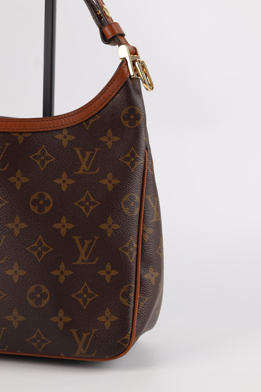 Louis Vuitton Dauphine Hobo Monogram
