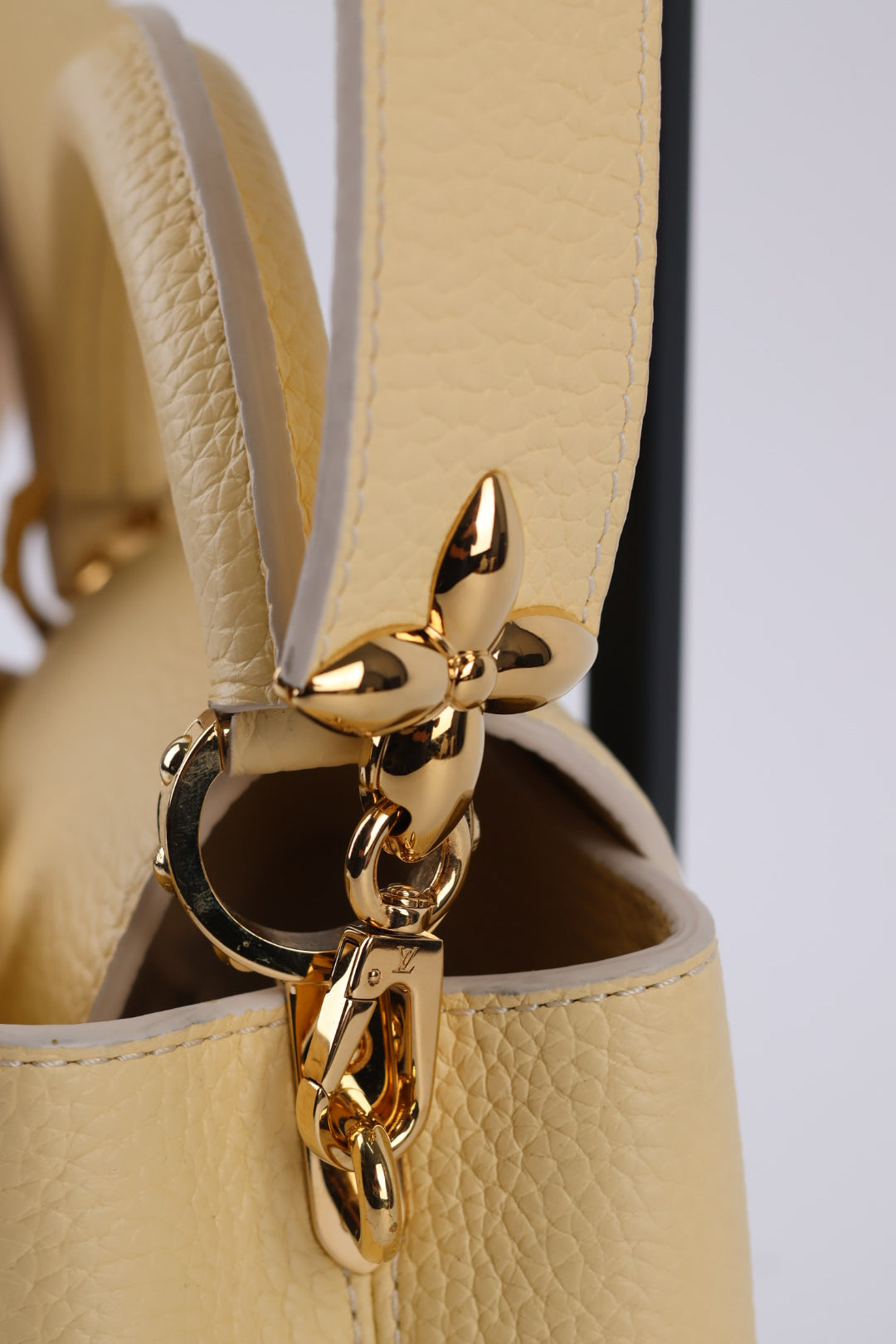Louis Vuitton Capucines Mini