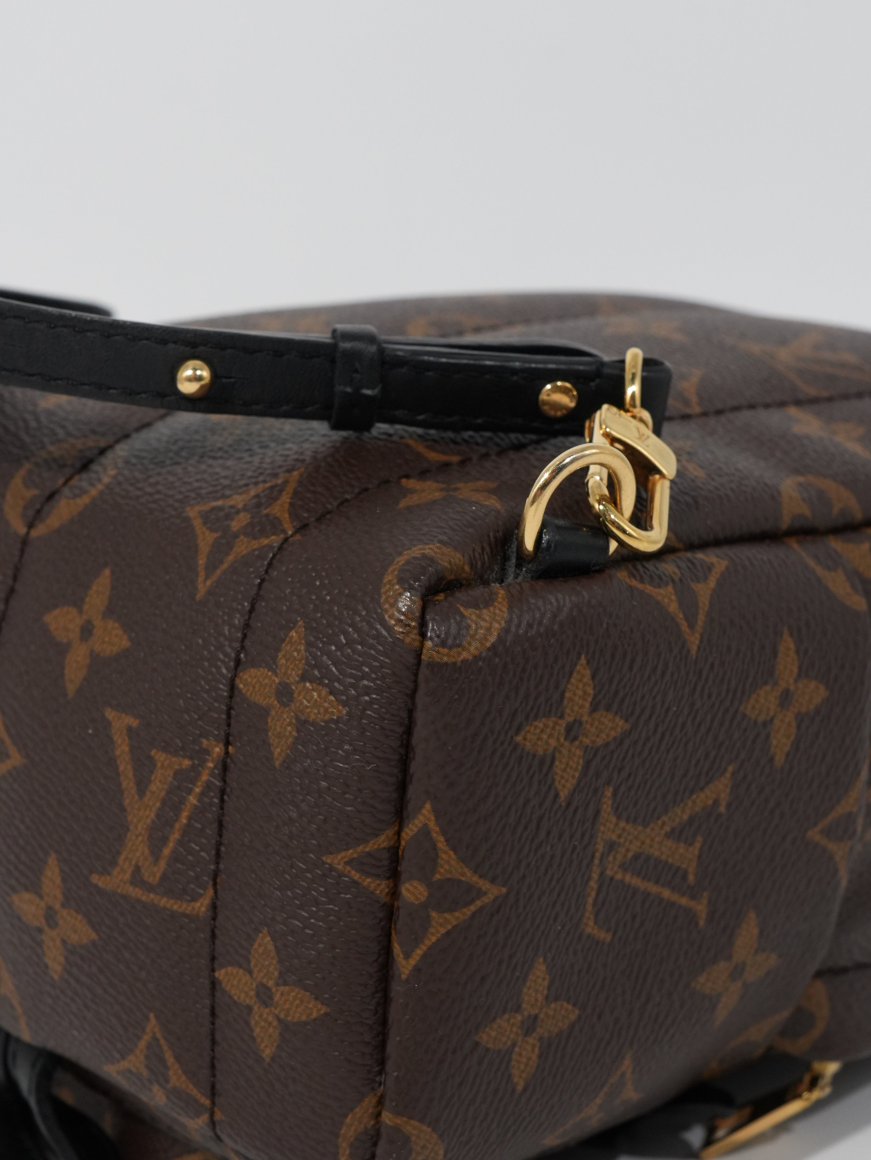 Louis Vuitton Mini Palm Spring