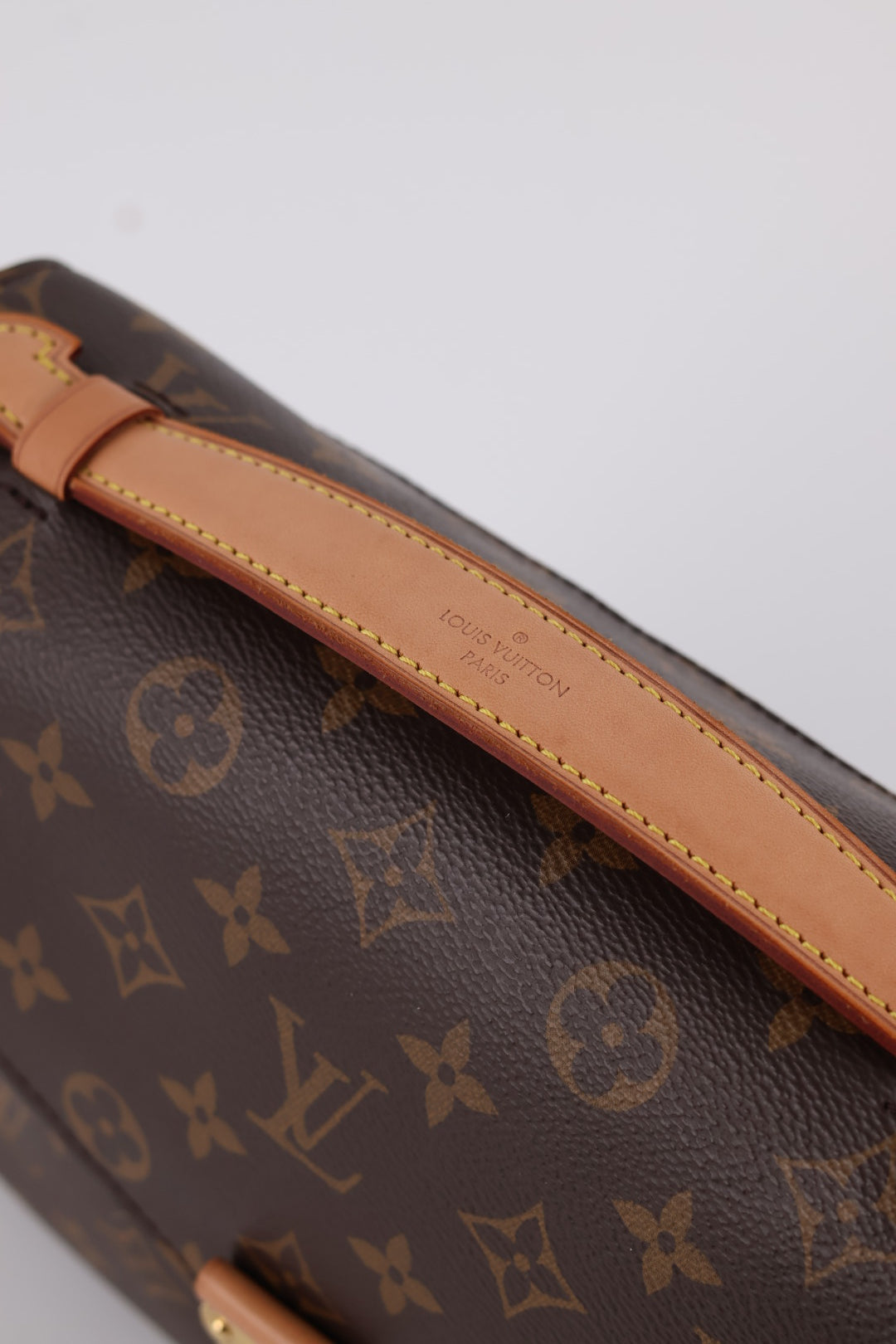 Louis Vuitton Métis Monogram