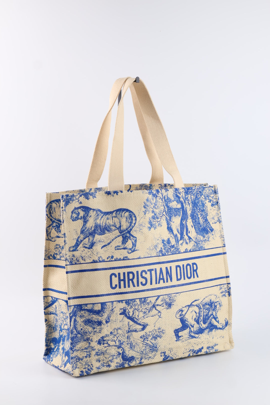 Dior Tote Riviera