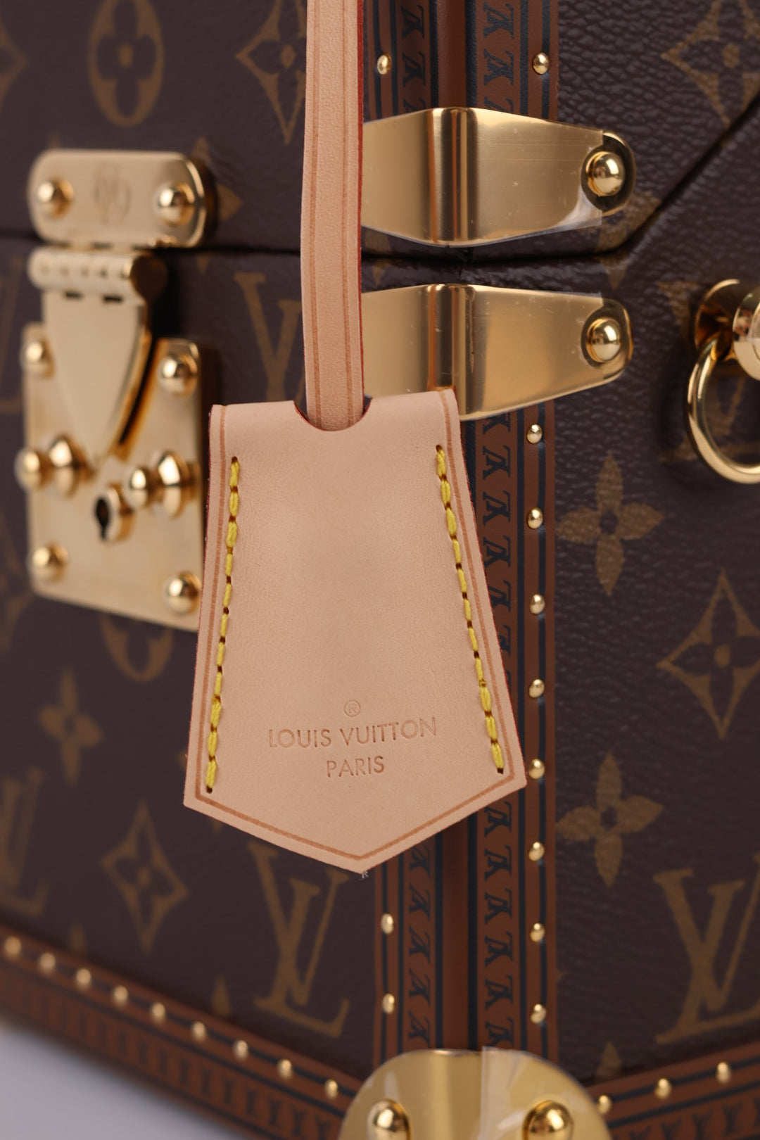 Louis Vuitton Camera Box Monogram