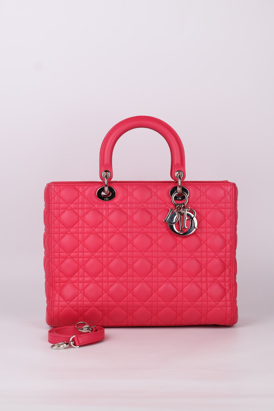 Lady Dior Large in Pelle