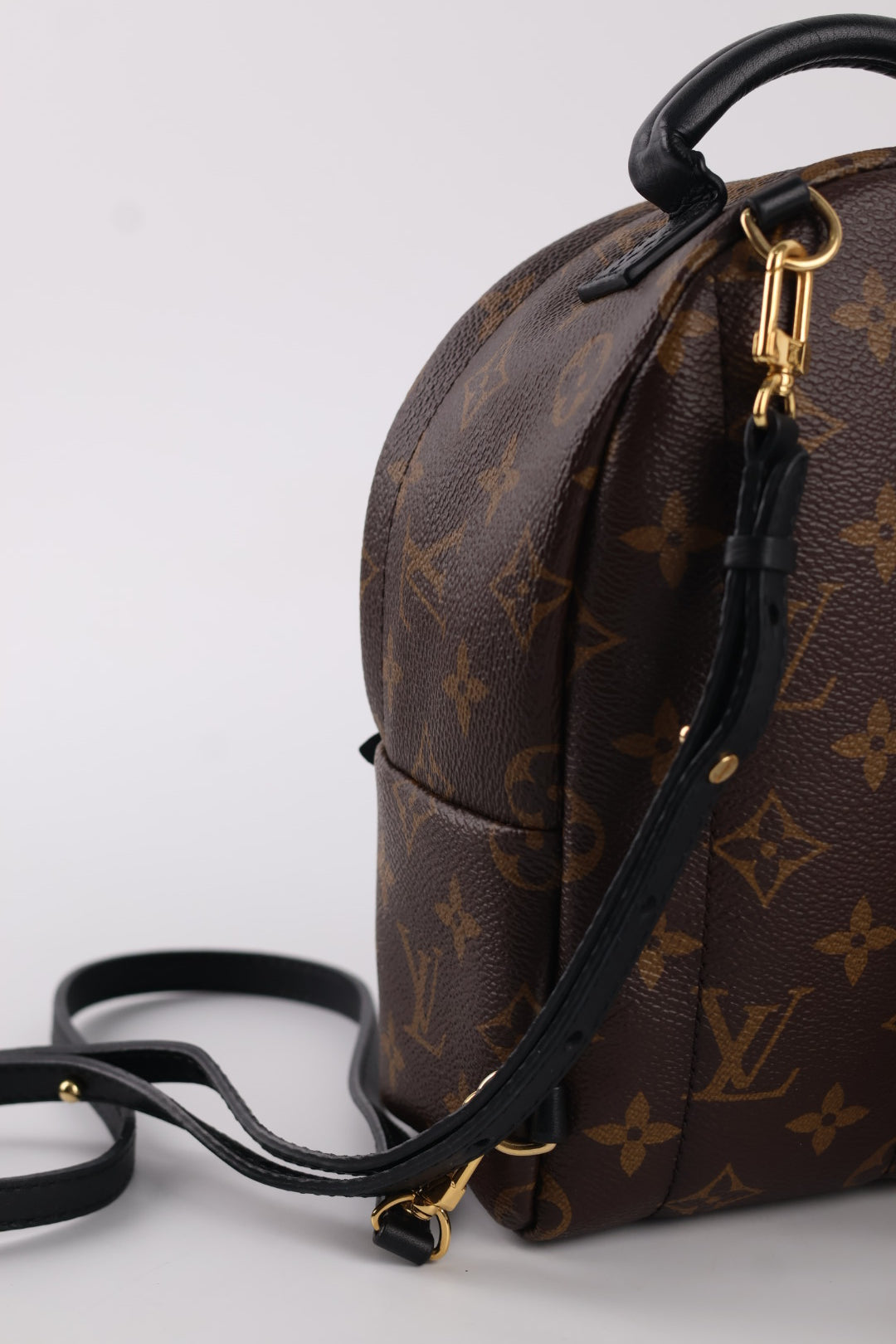 Louis Vuitton Mini Palm Spring Monogram