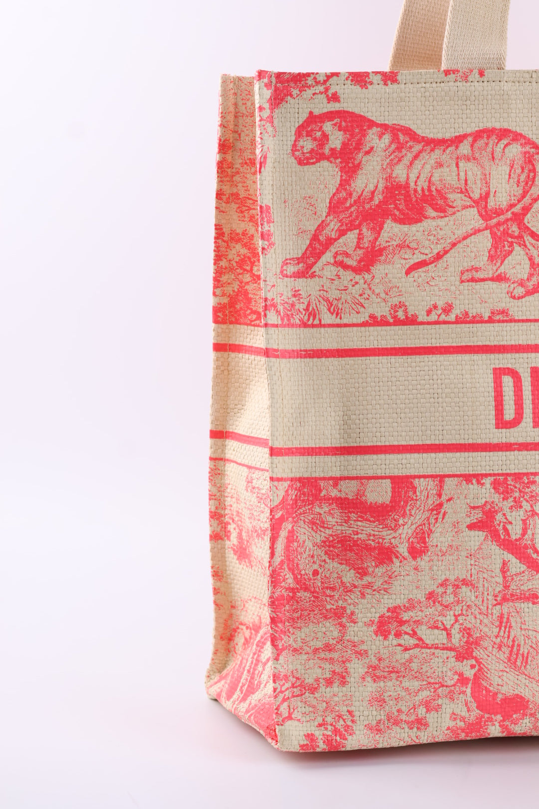Dior Tote Riviera