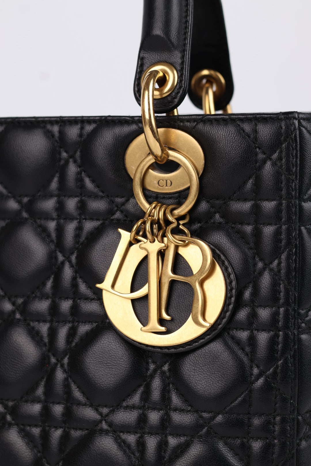 Lady Dior Meda in Pelle