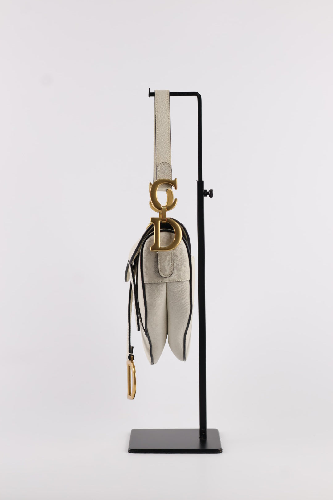 Dior Saddle in Pelle