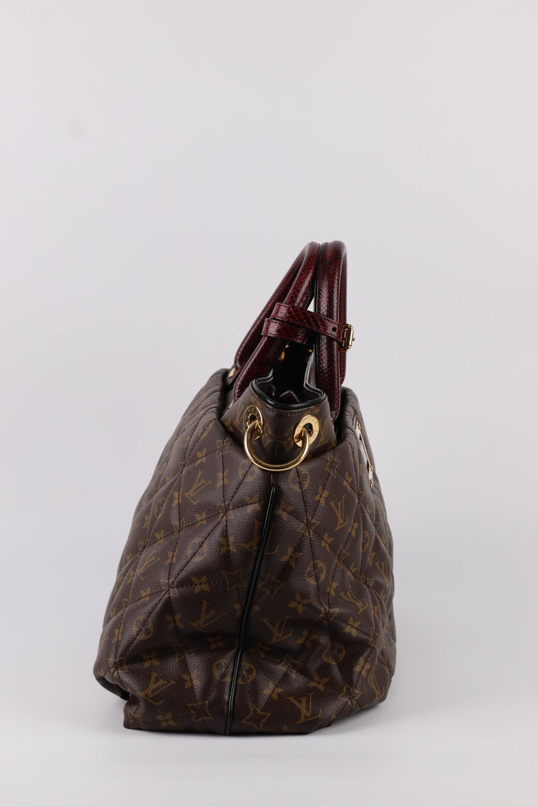 Louis Vuitton Etoile Exotique Monogram
