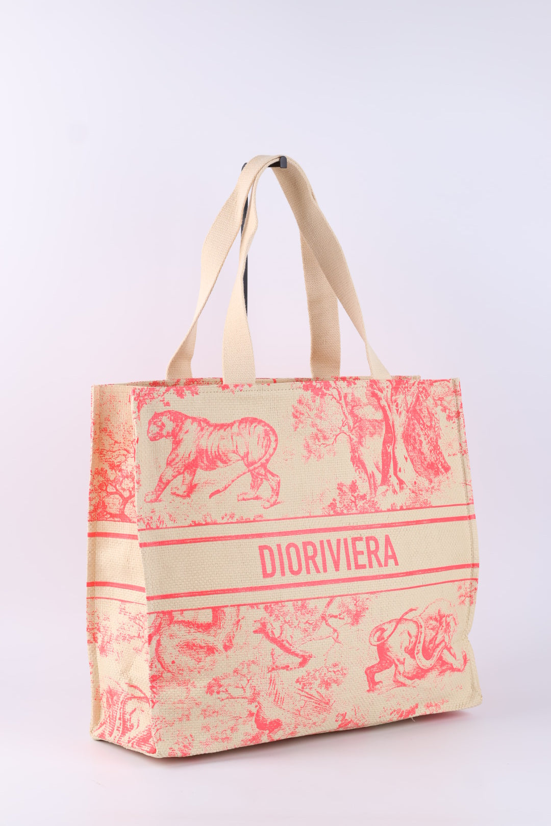 Dior Tote Riviera