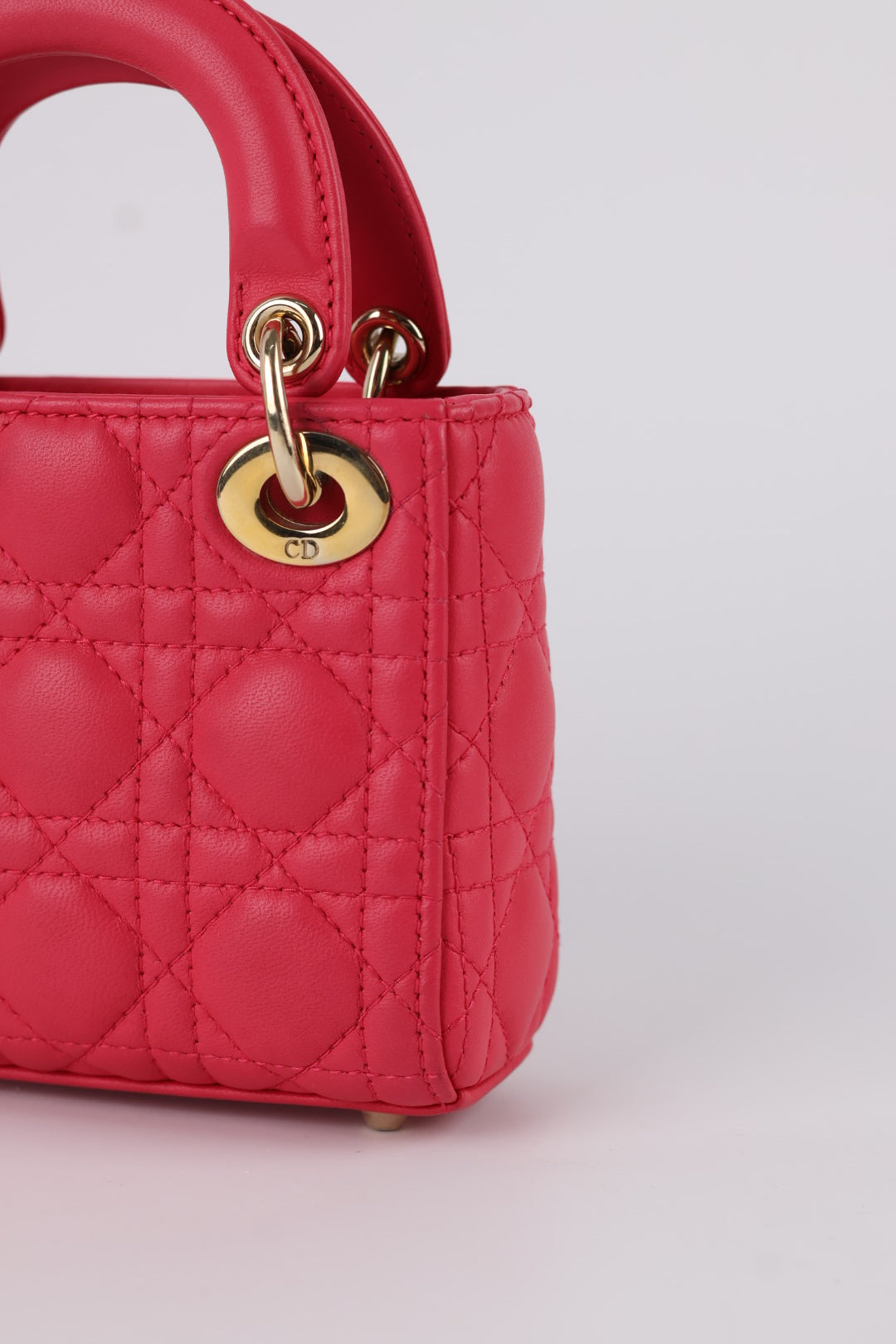 Lady Dior Micro in Pelle
