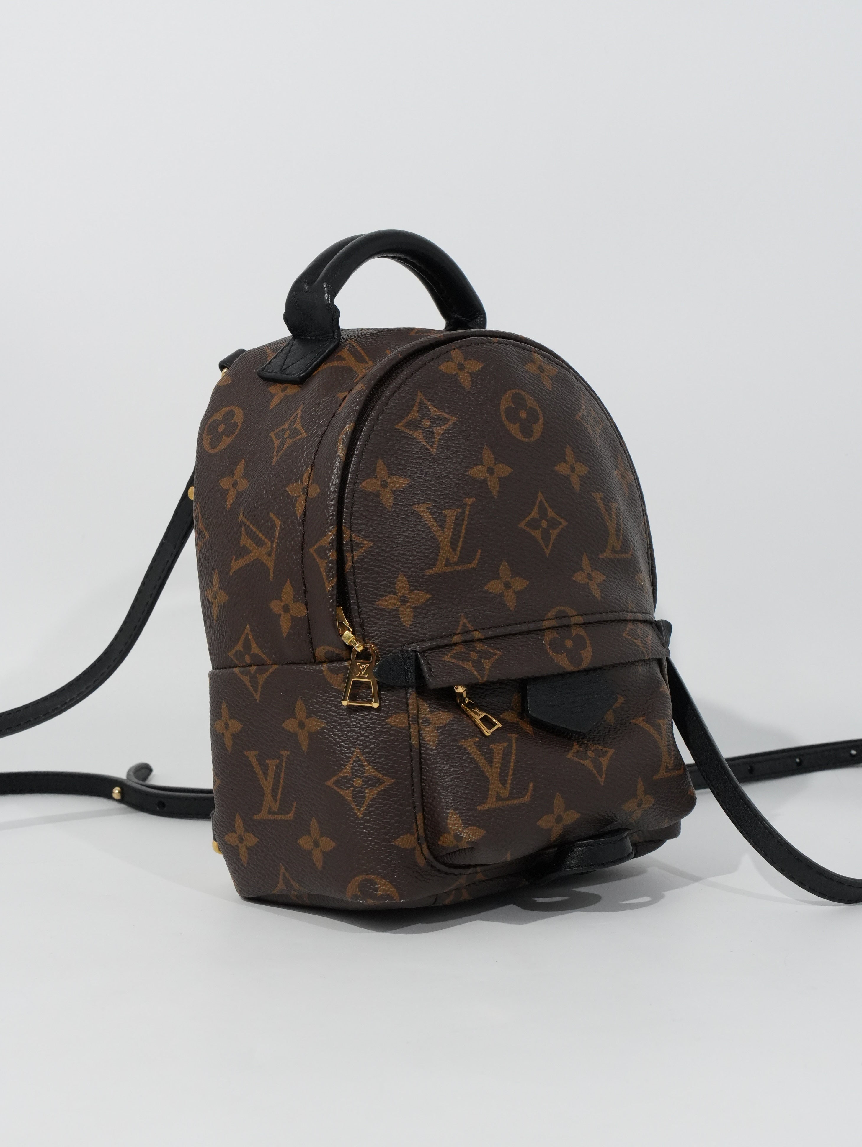 Louis Vuitton Mini Palm Spring