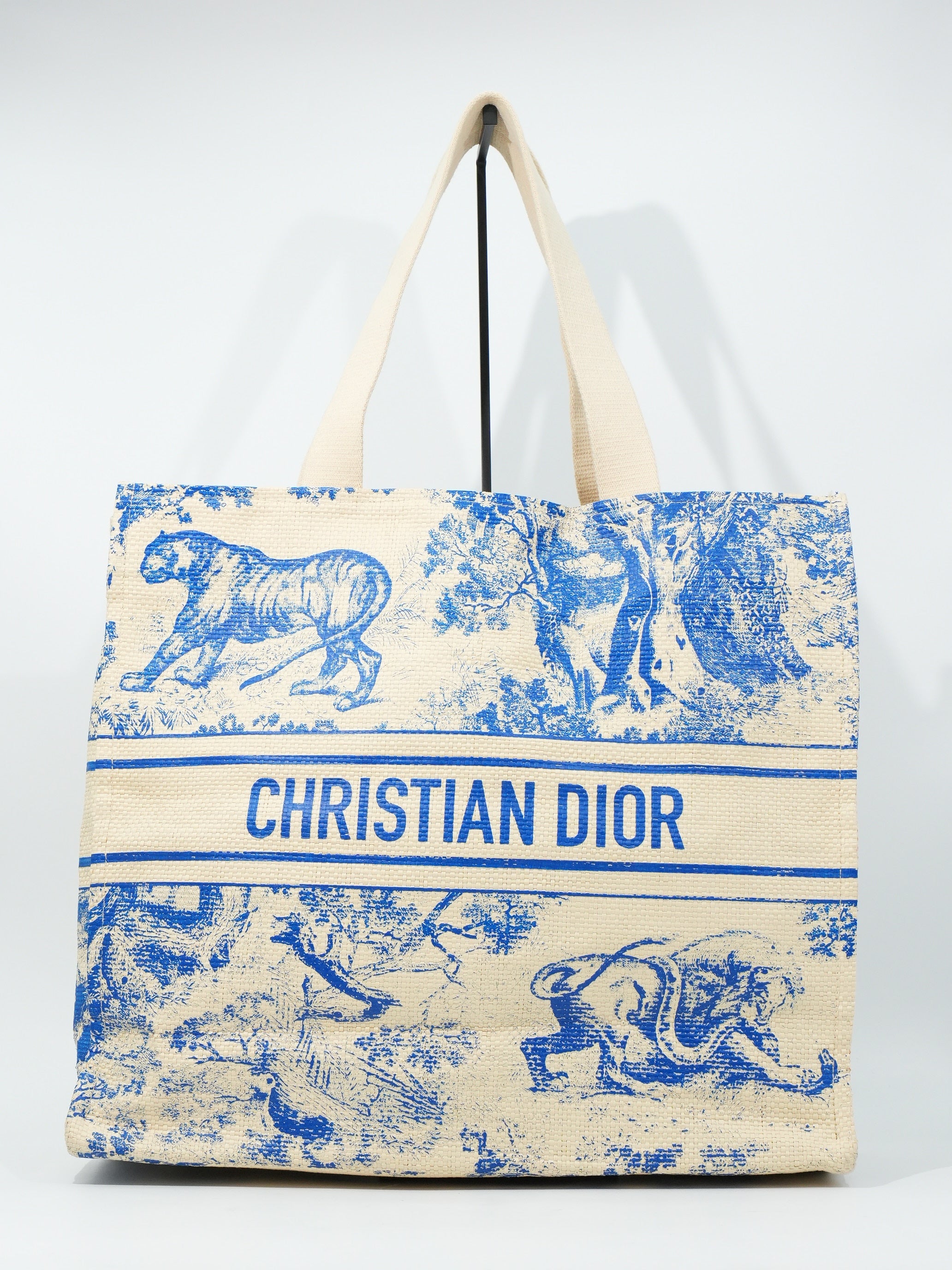 Dior Tote Riviera