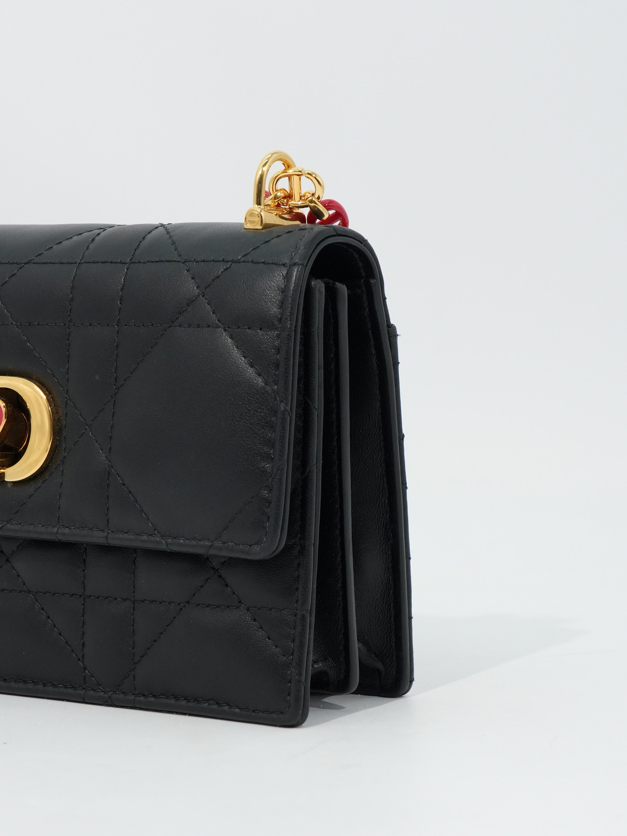 Dior Miss Caro Mini Dioramour