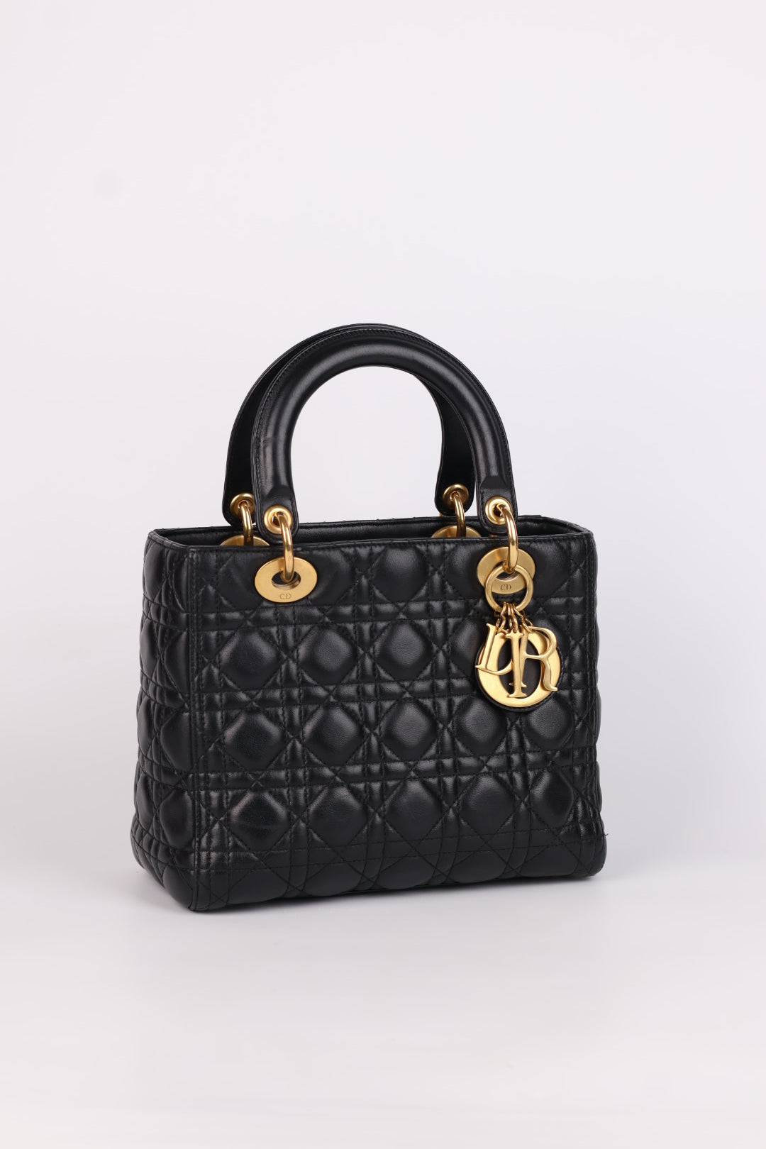 Lady Dior Meda in Pelle