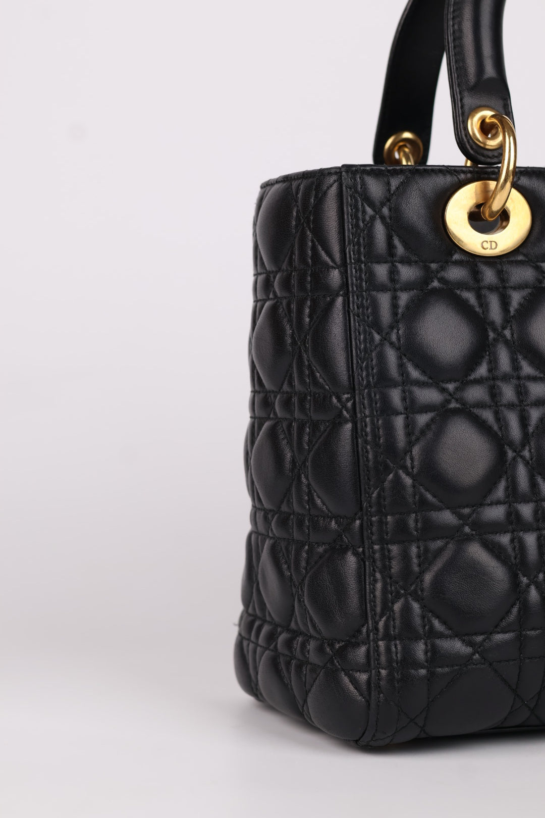 Lady Dior Meda in Pelle