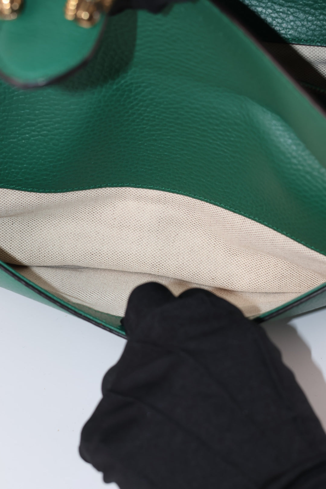 Gucci Dionysus in Pelle