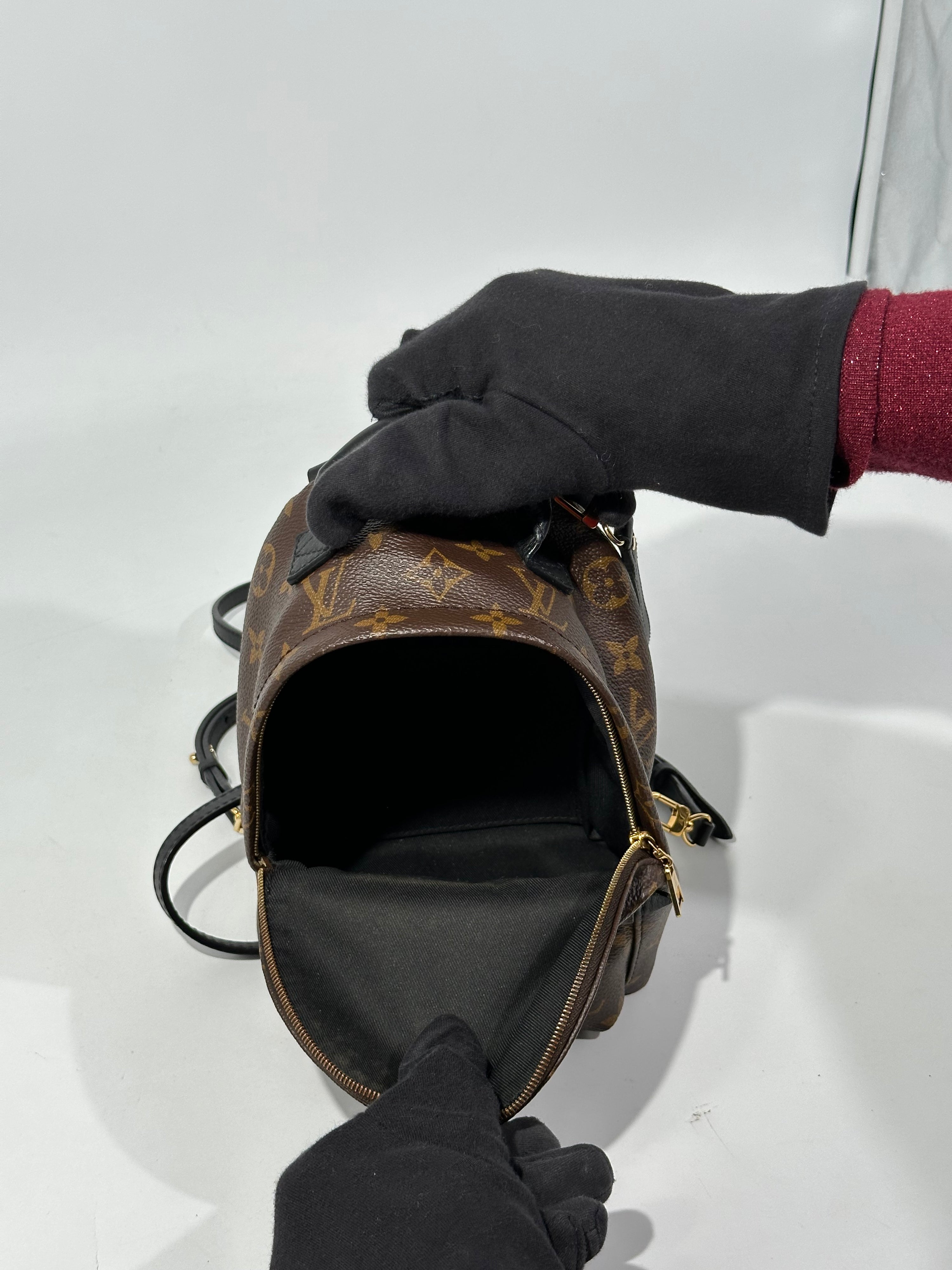 Louis Vuitton Mini Palm Spring