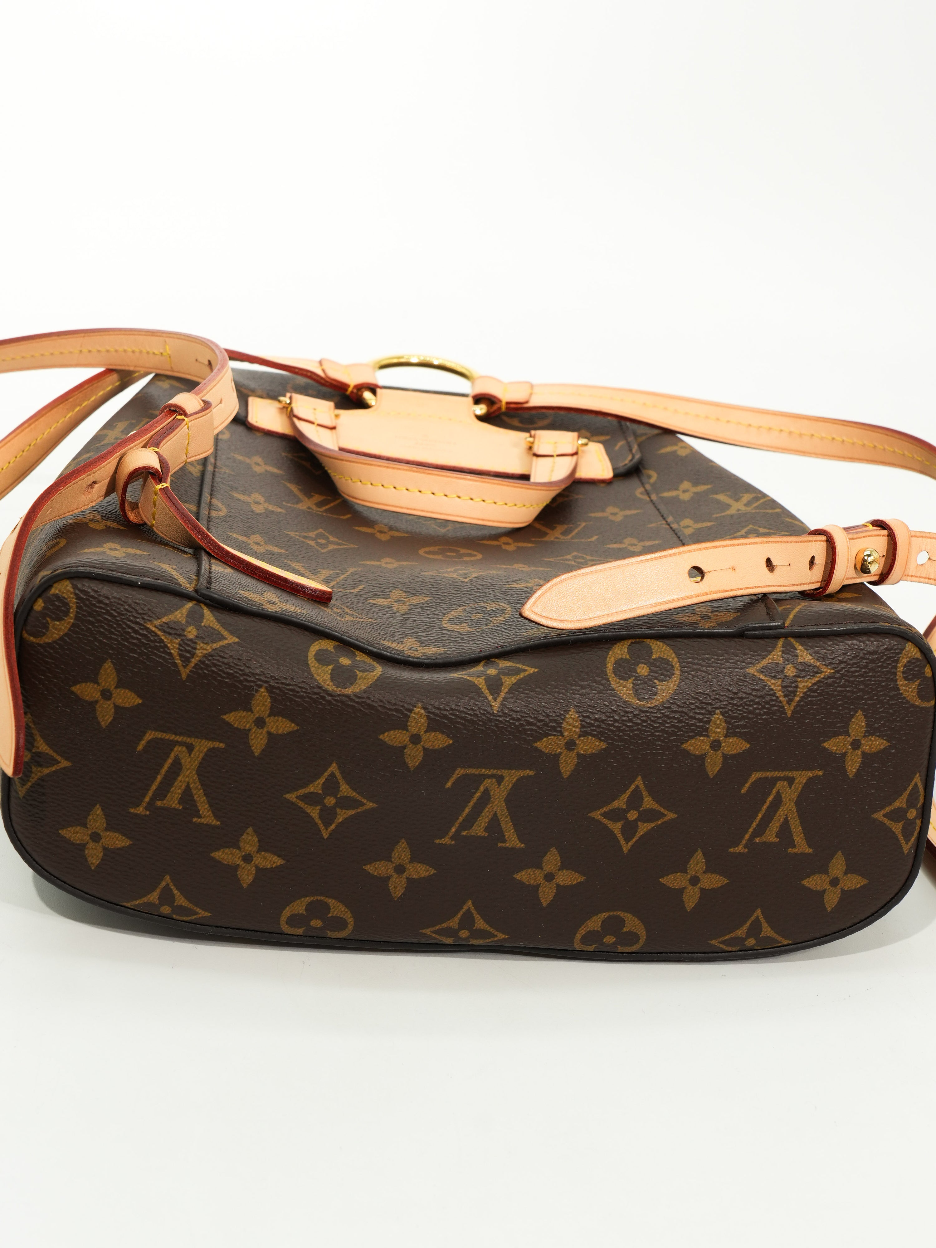 Louis Vuitton Zaino Montsouris NM Monogram
