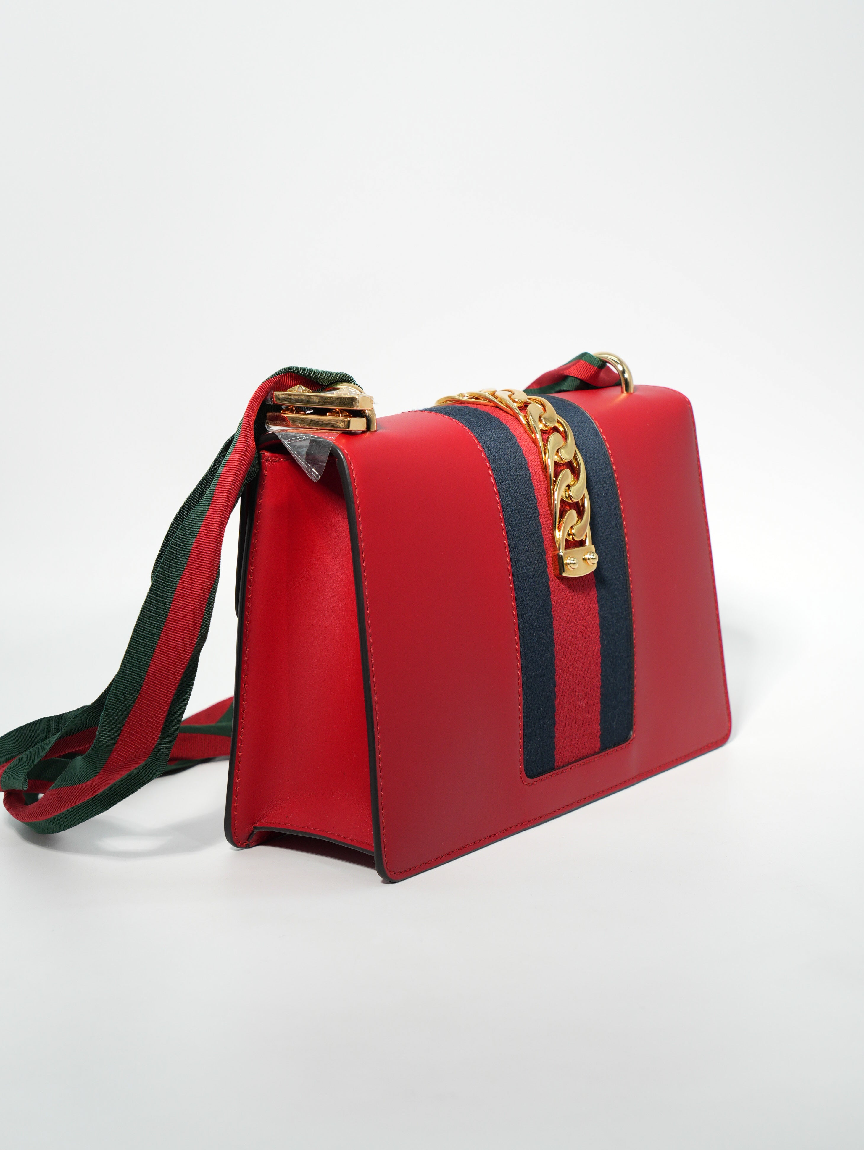 Gucci Sylvie in Pelle