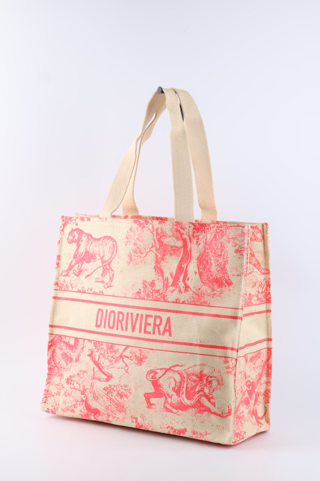Dior Tote Riviera