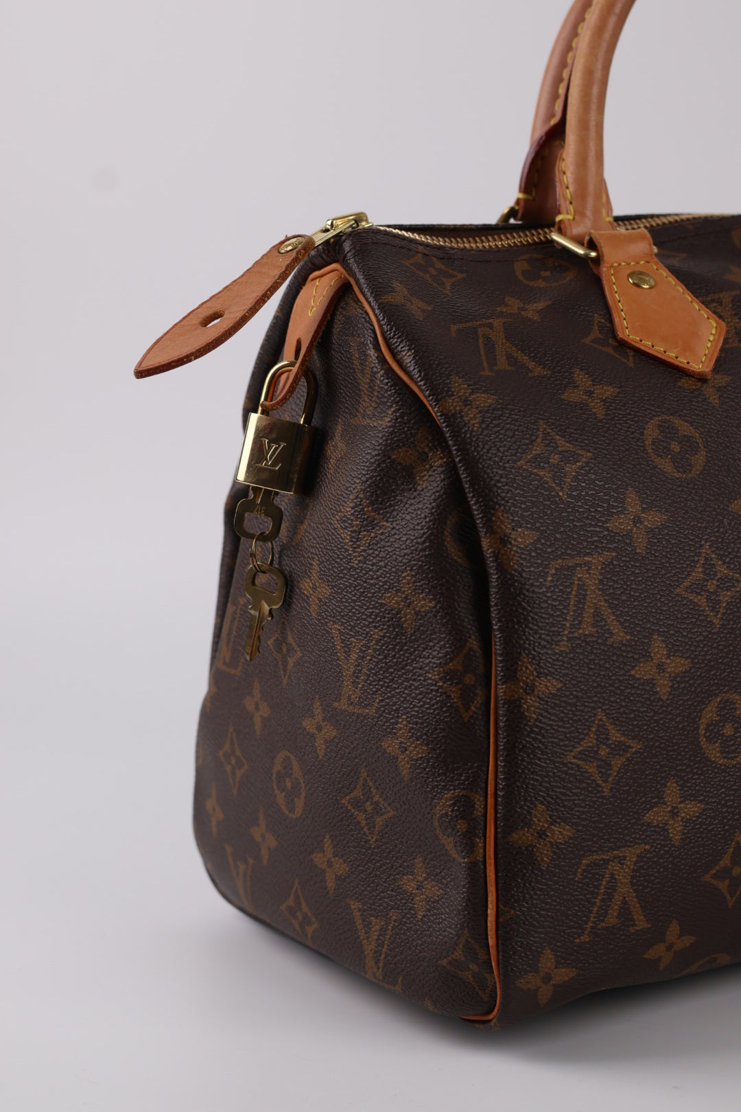 Louis Vuitton Speedy 30 Monogram